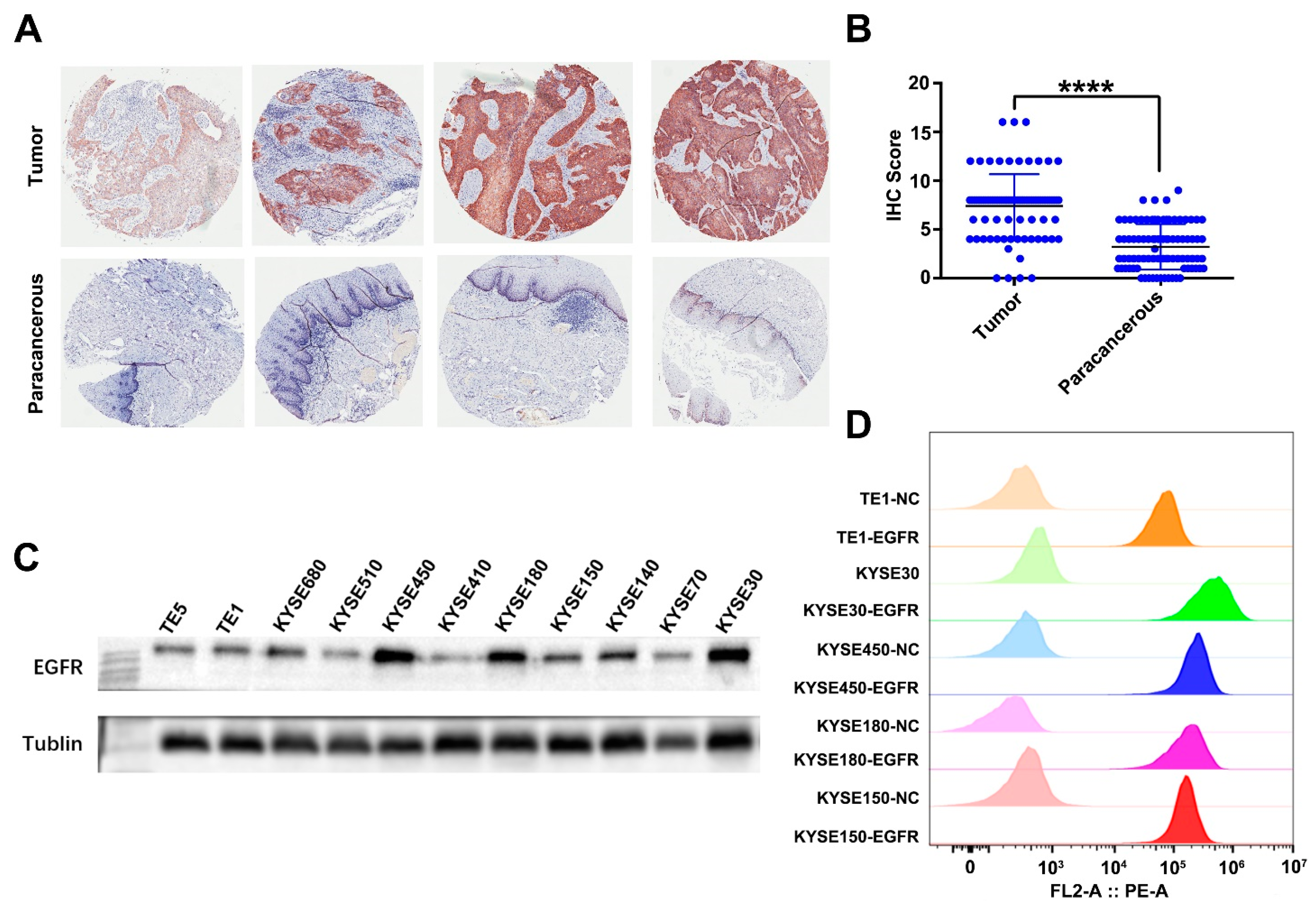 Cancers 14 06021 g002