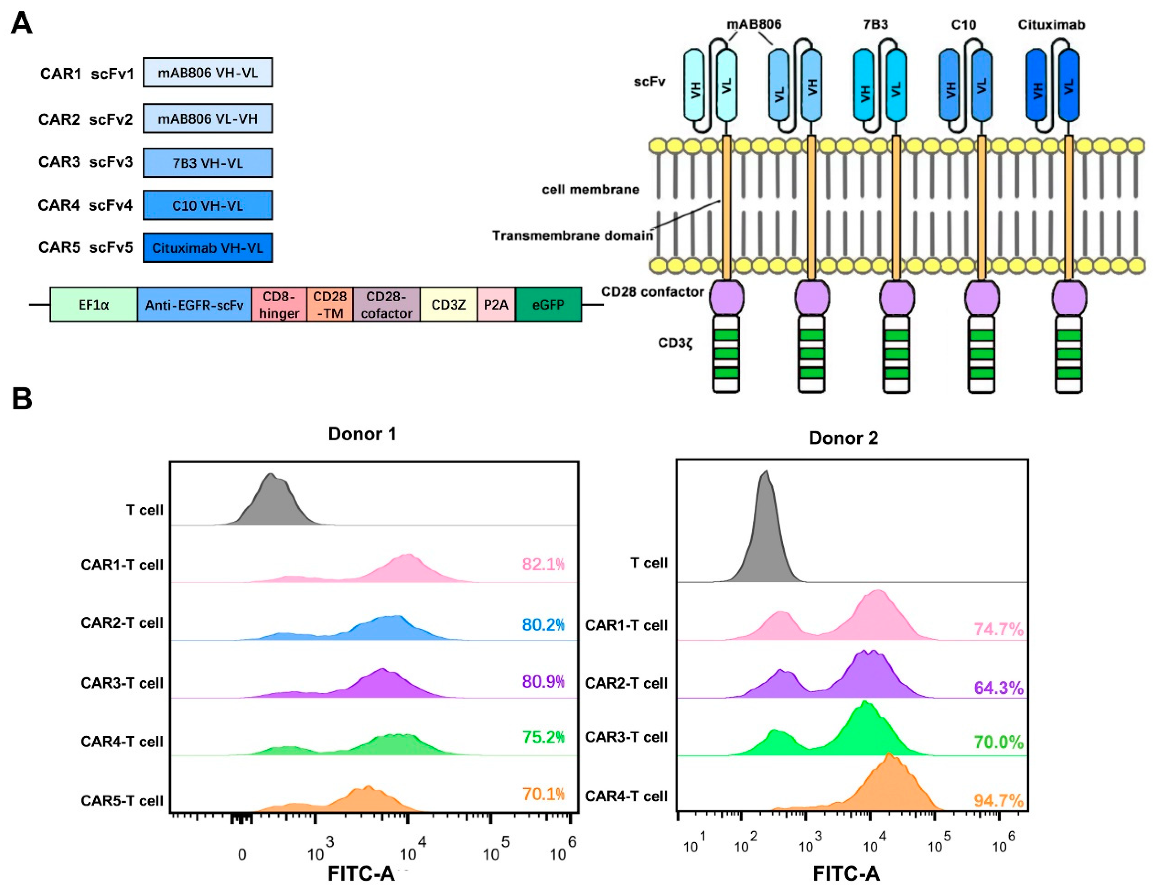 Cancers 14 06021 g003