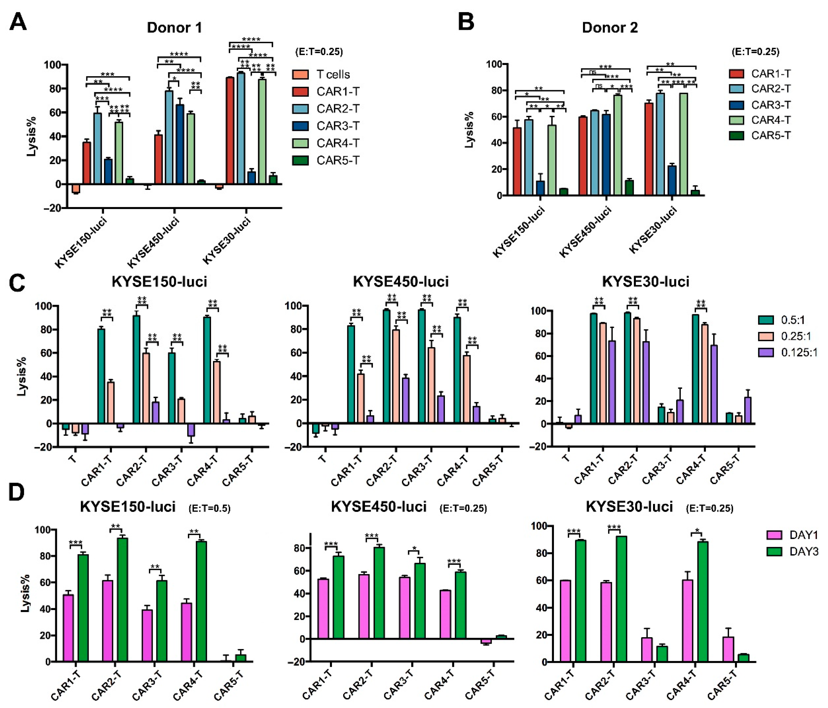 Cancers 14 06021 g004