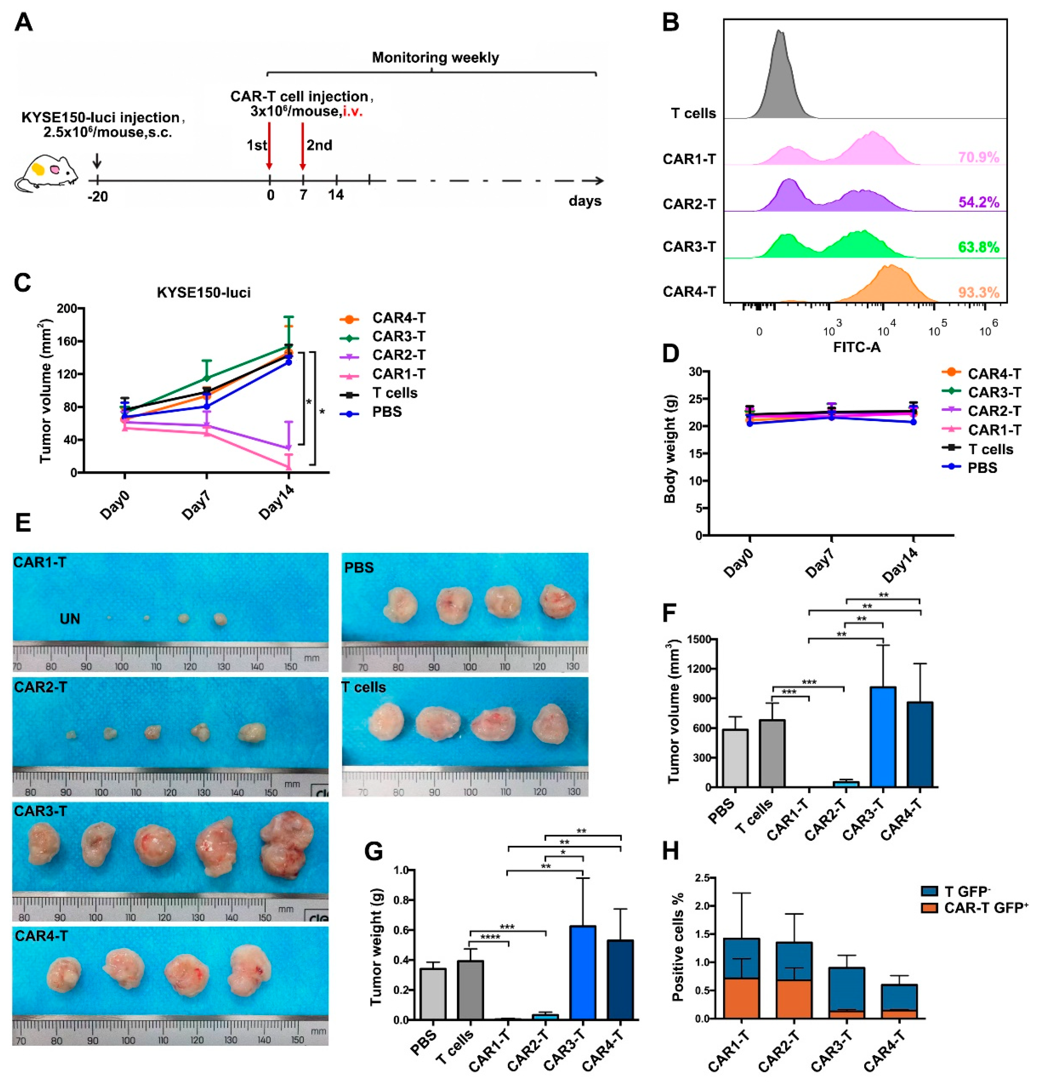 Cancers 14 06021 g006
