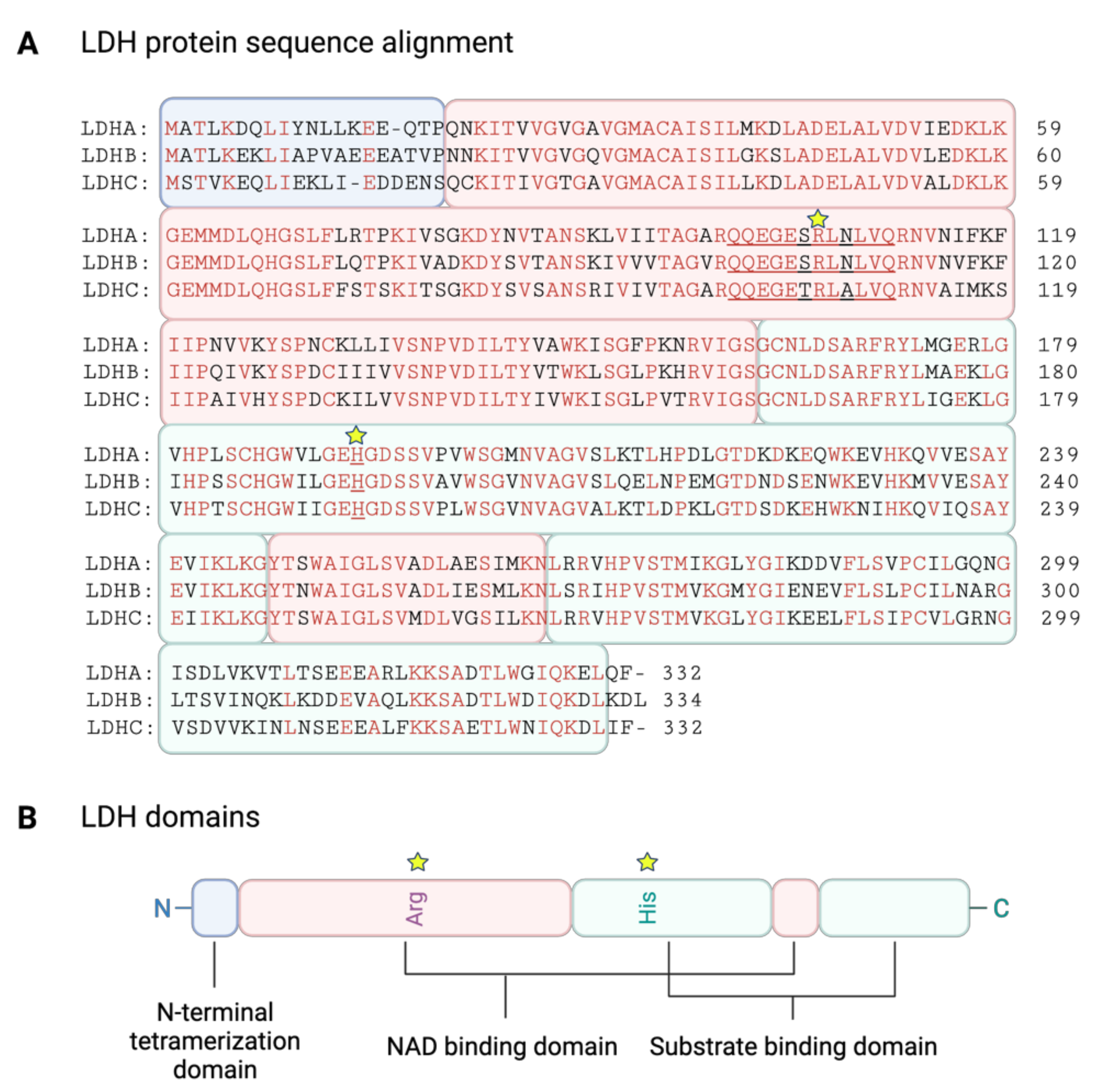 Cancers 14 06028 g004