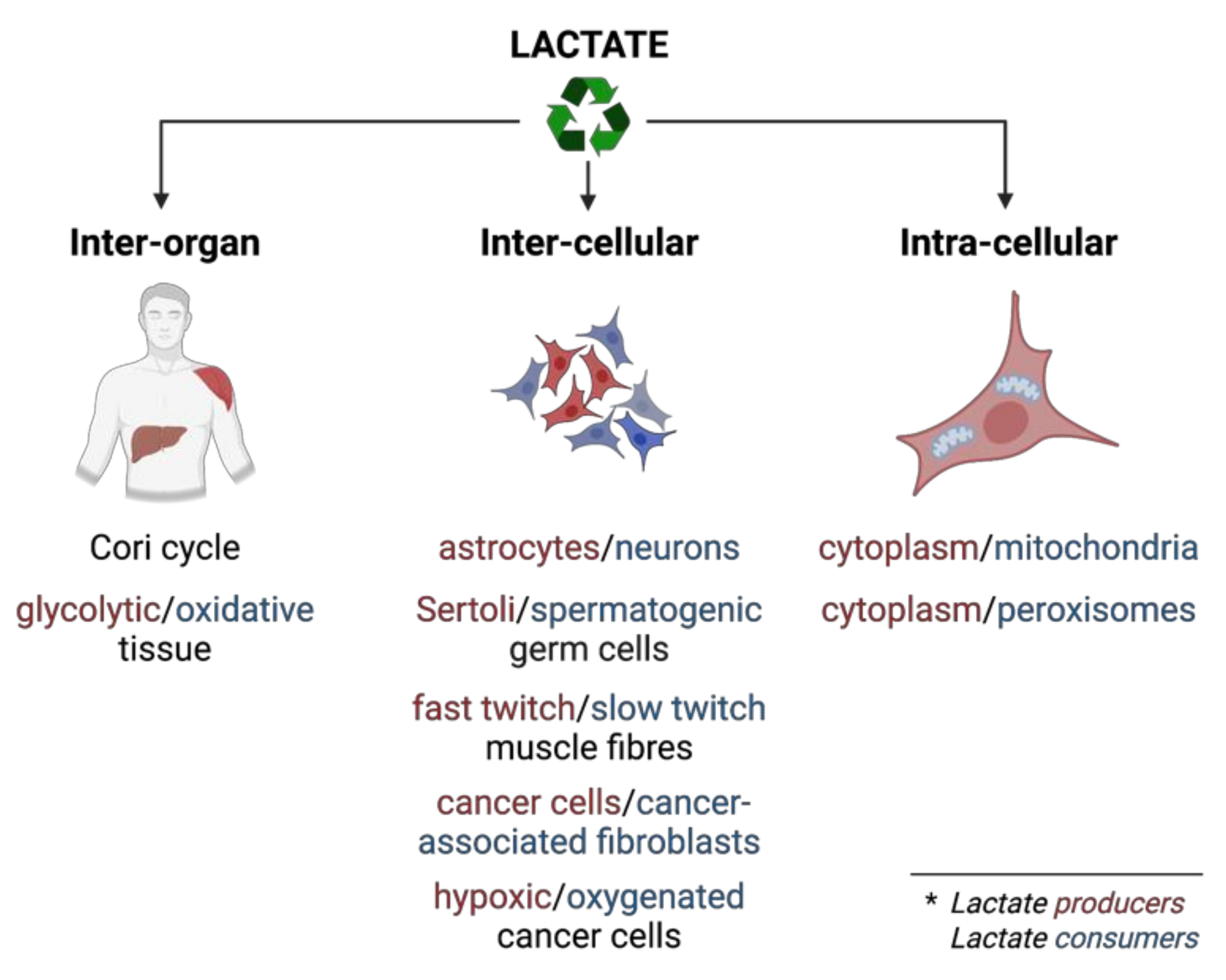 Cancers 14 06028 g005