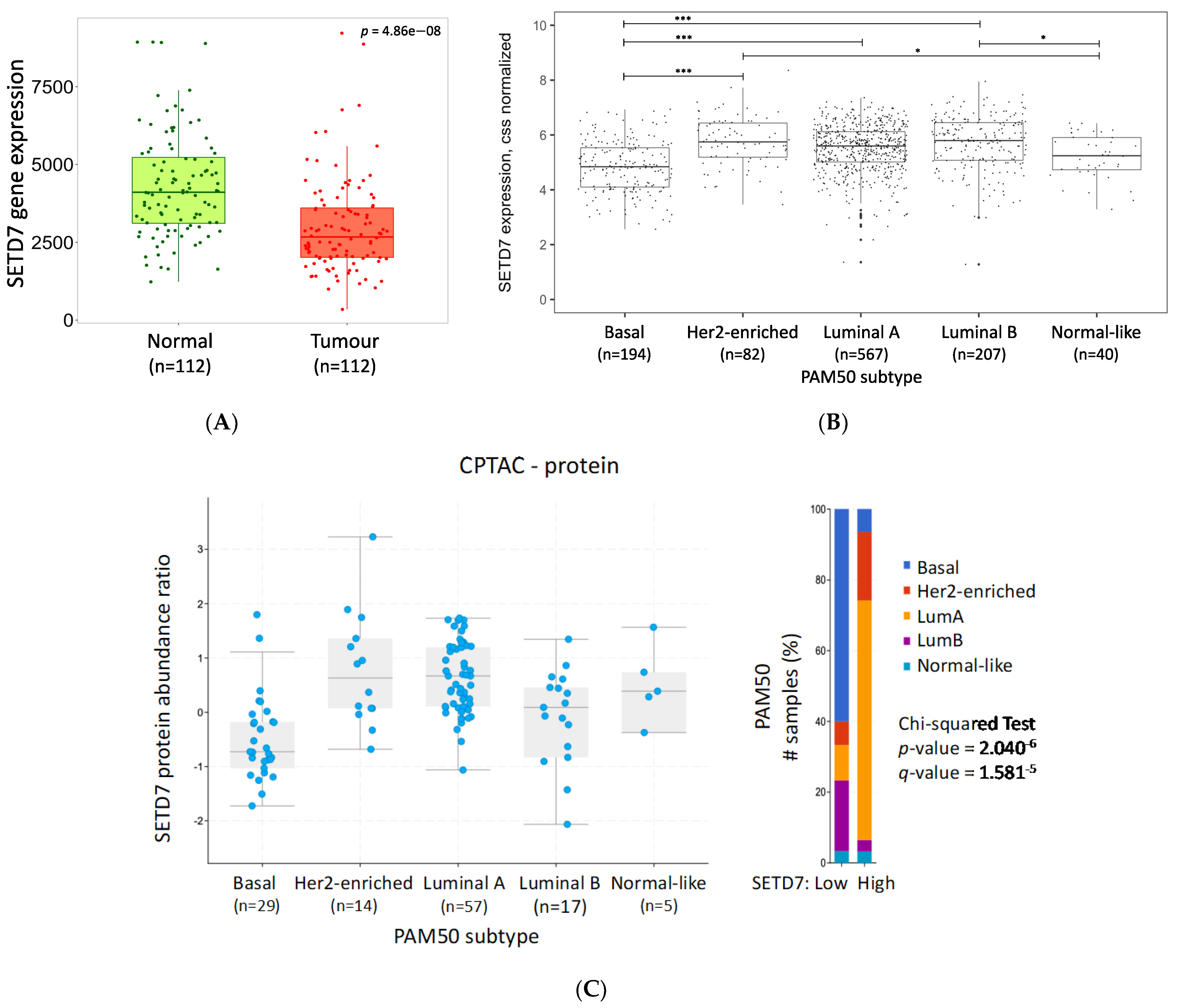 Cancers 14 06029 g001
