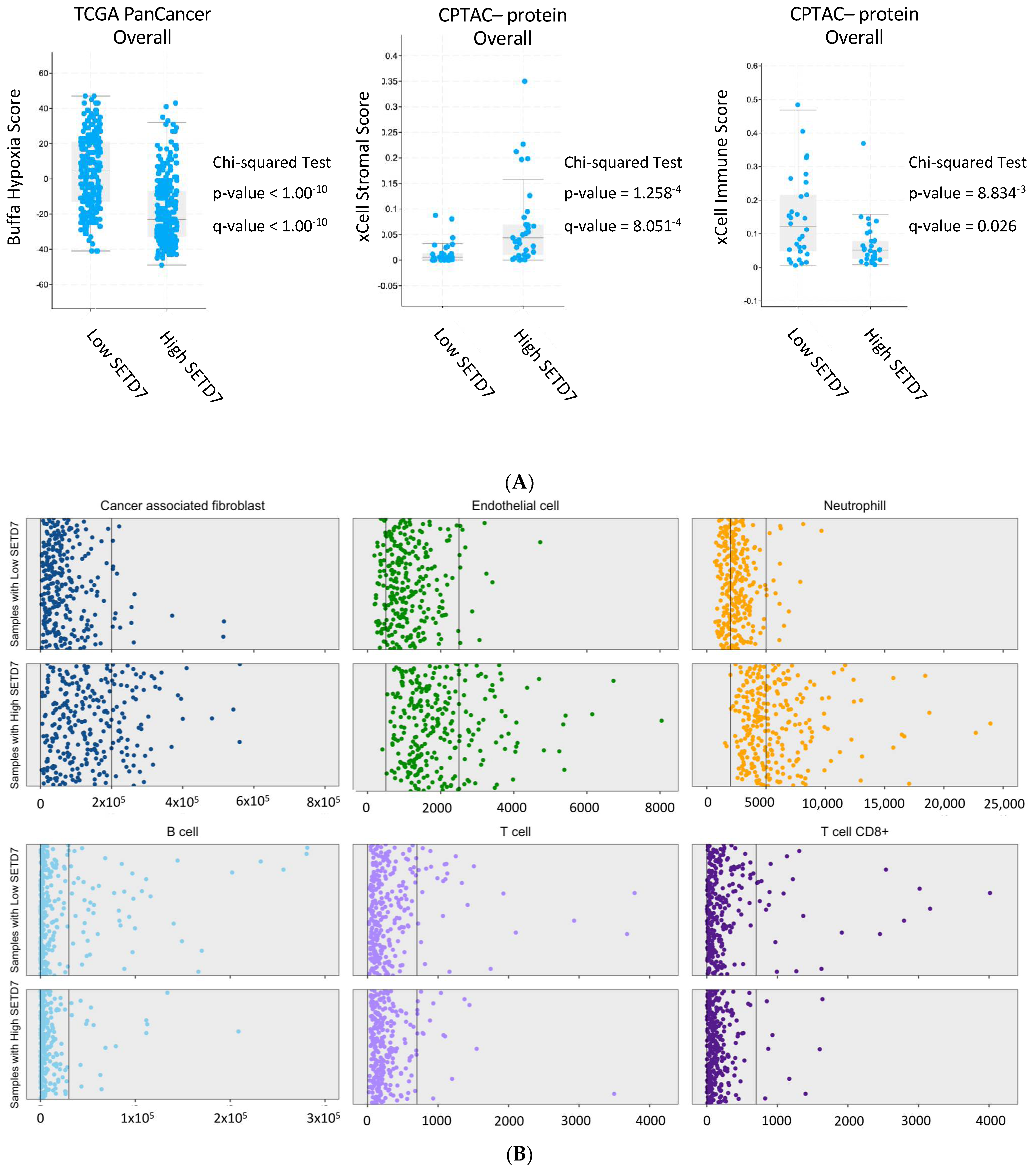 Cancers 14 06029 g002