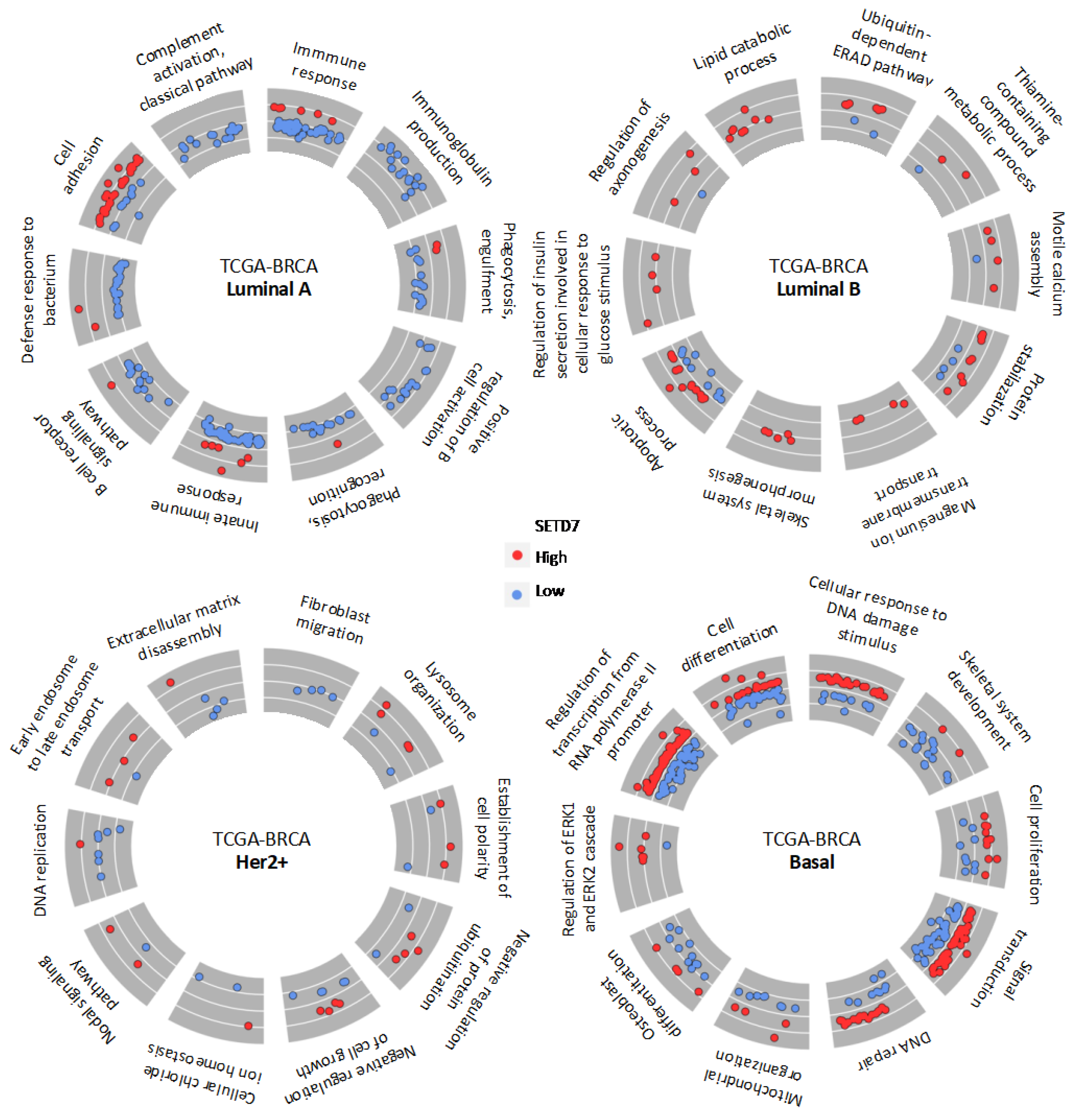 Cancers 14 06029 g003