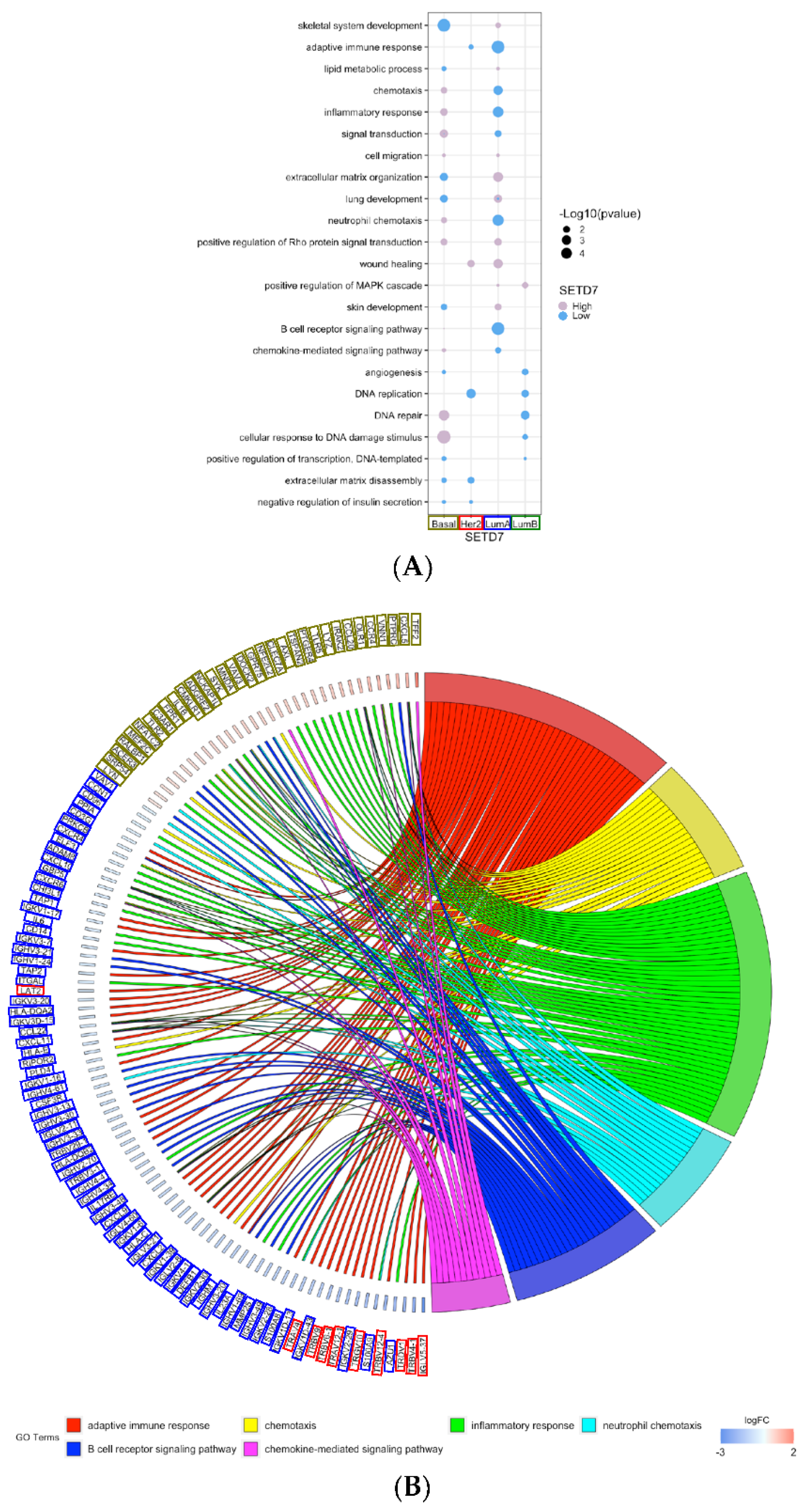 Cancers 14 06029 g004