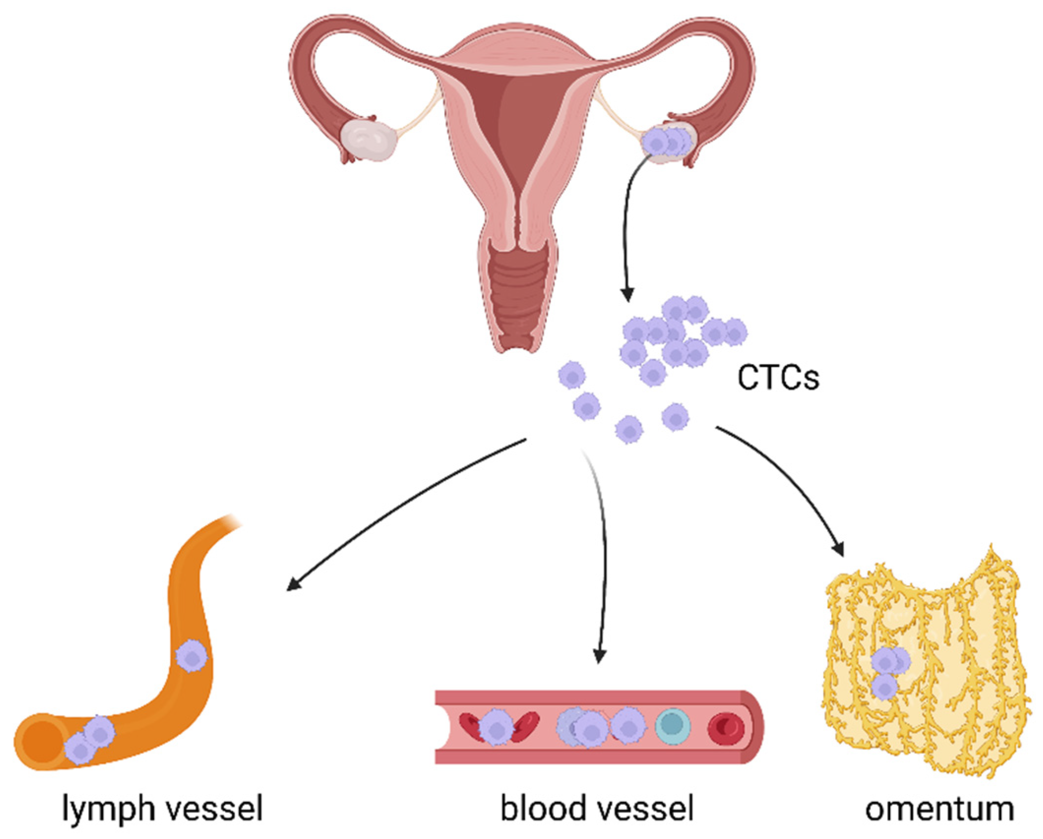 Cancers 14 06030 g001