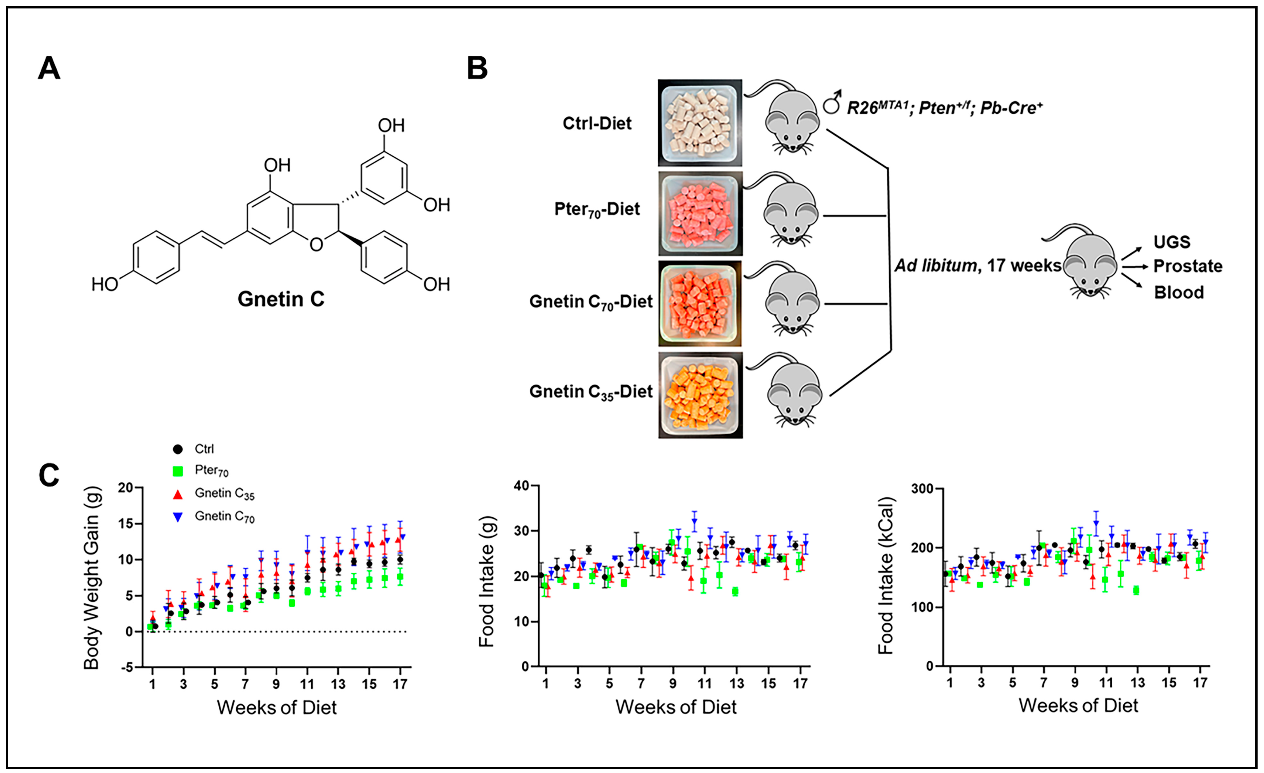 Cancers 14 06038 g001