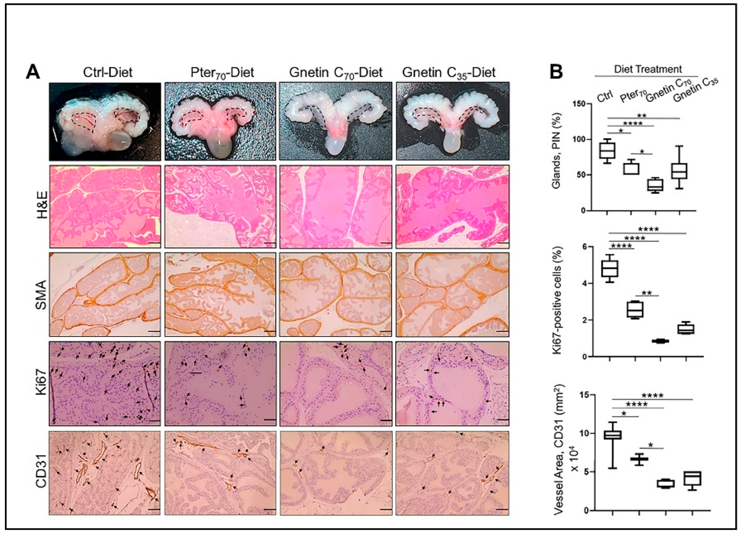 Cancers 14 06038 g002