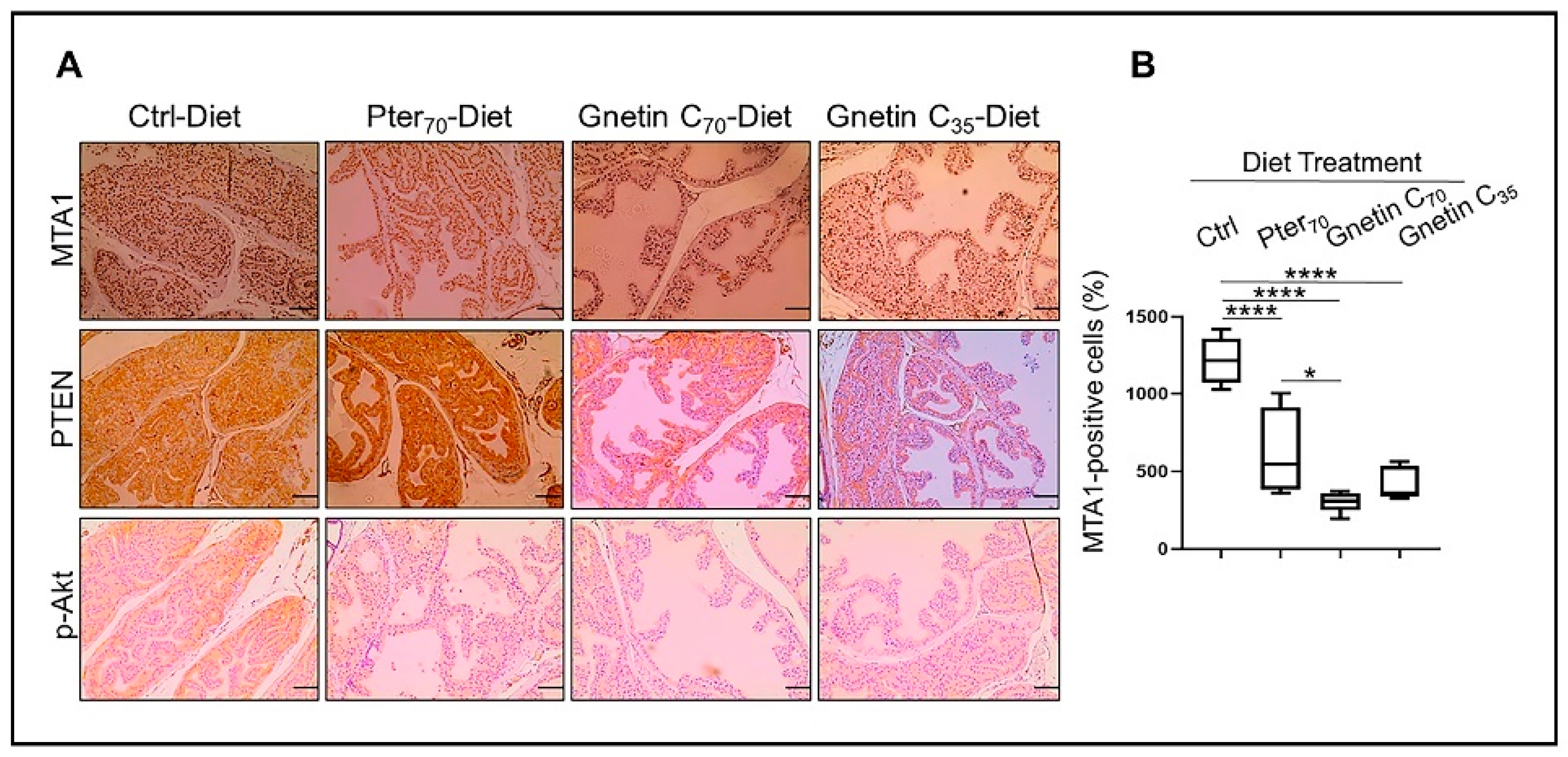 Cancers 14 06038 g003