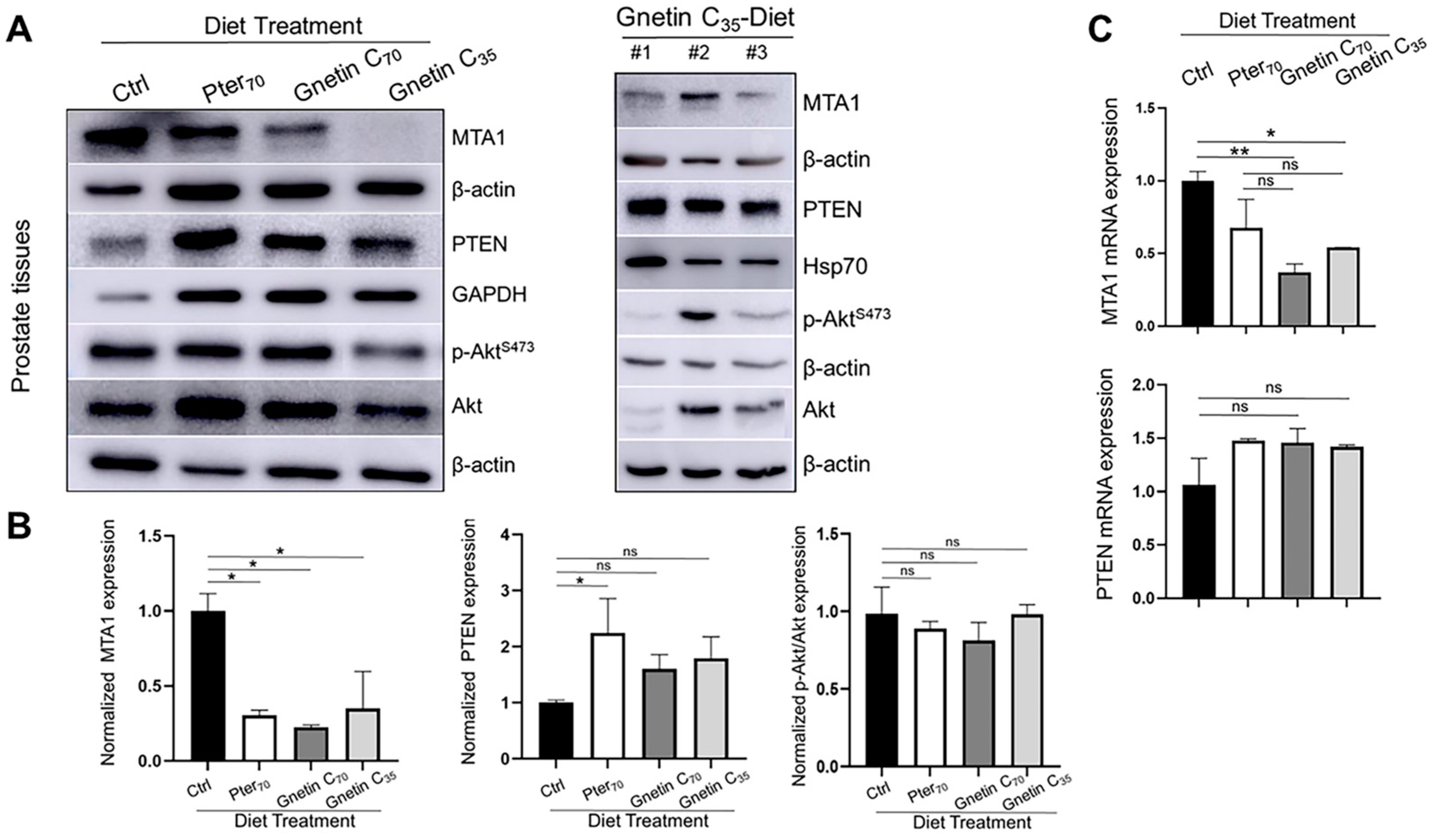 Cancers 14 06038 g004