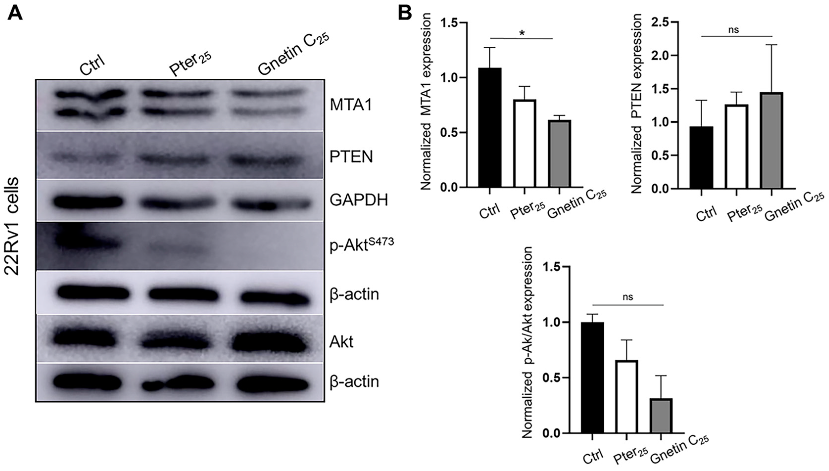 Cancers 14 06038 g005