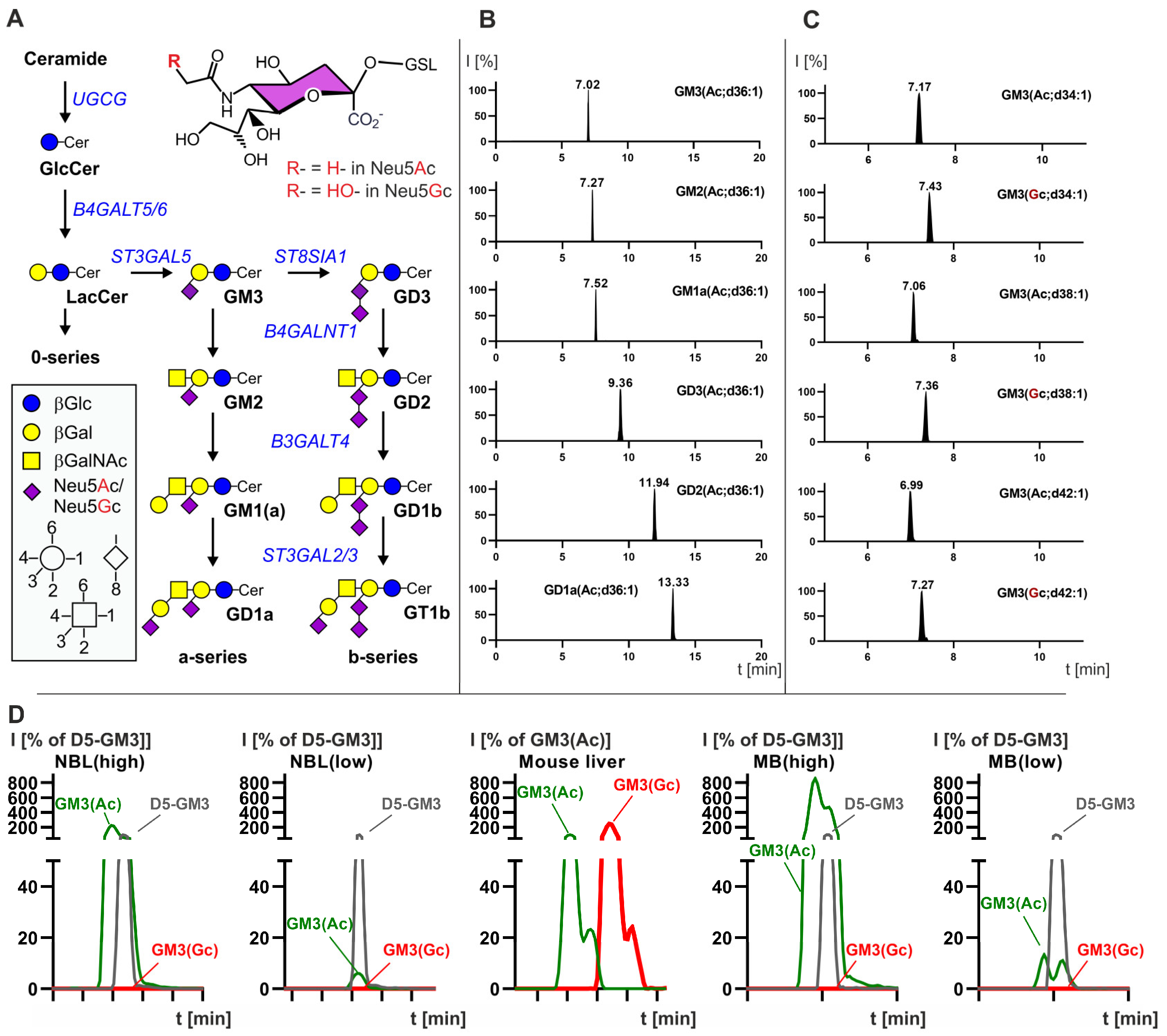 Cancers 14 06051 g001