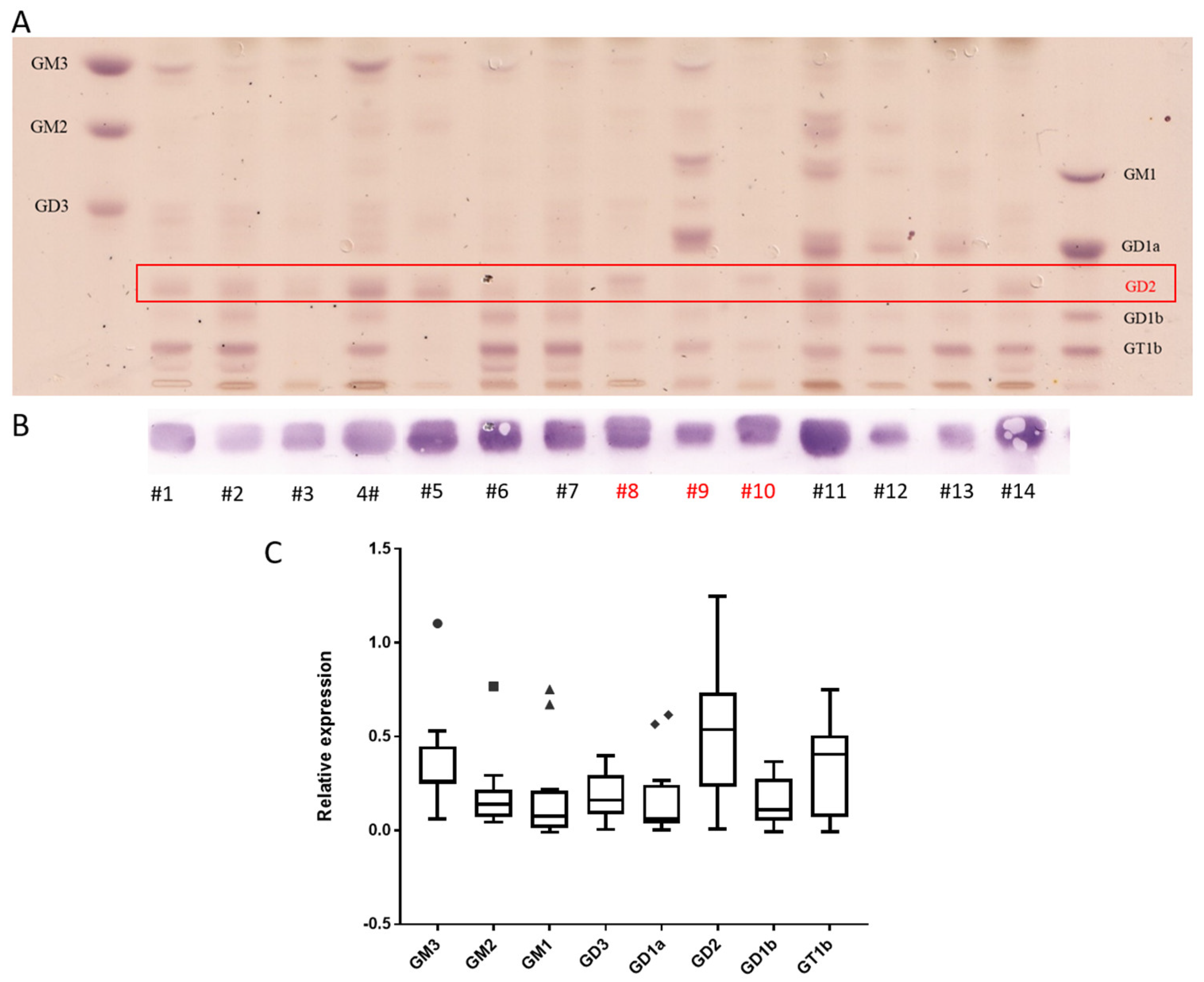Cancers 14 06051 g002