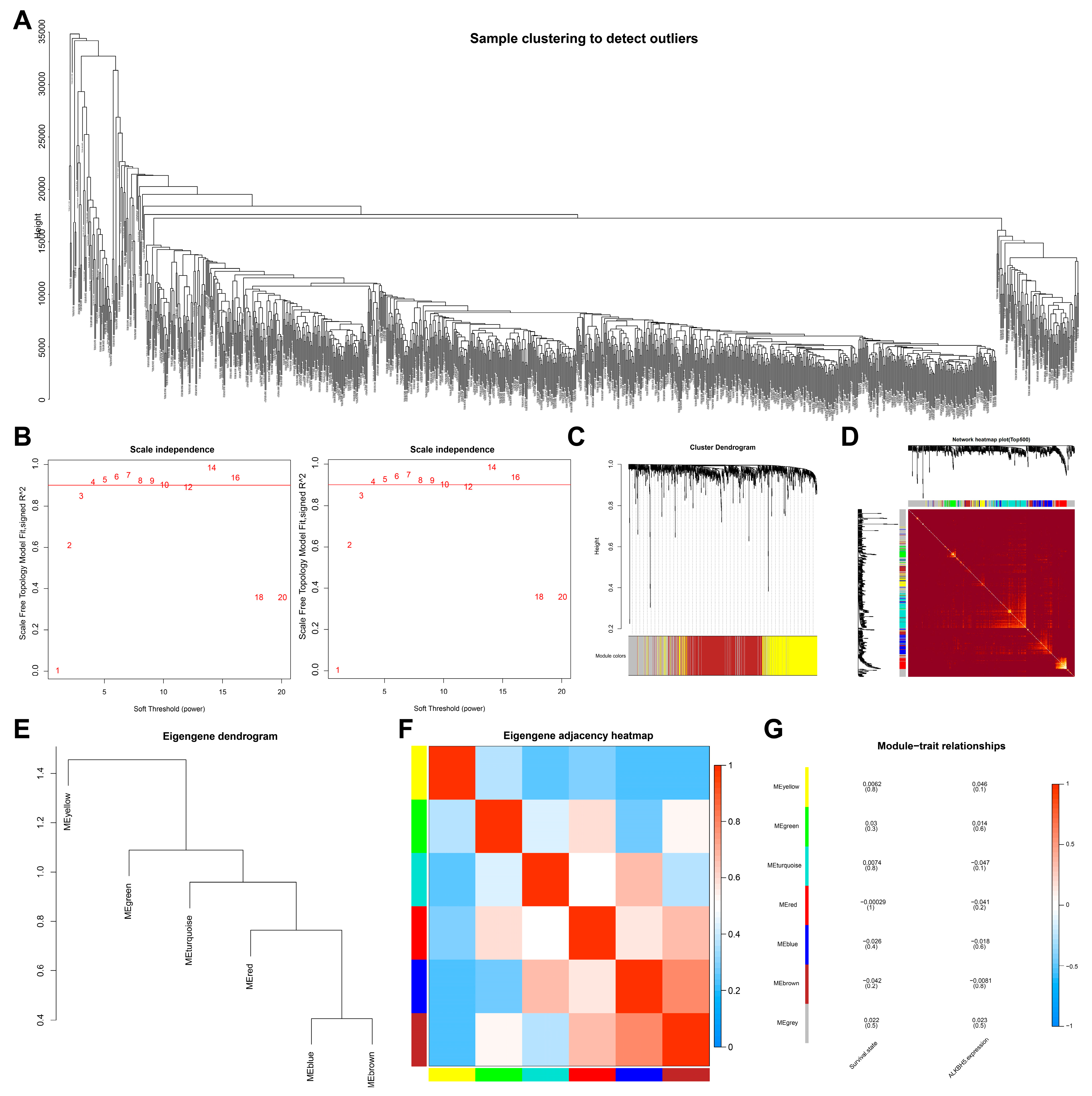 Cancers 14 06059 g001
