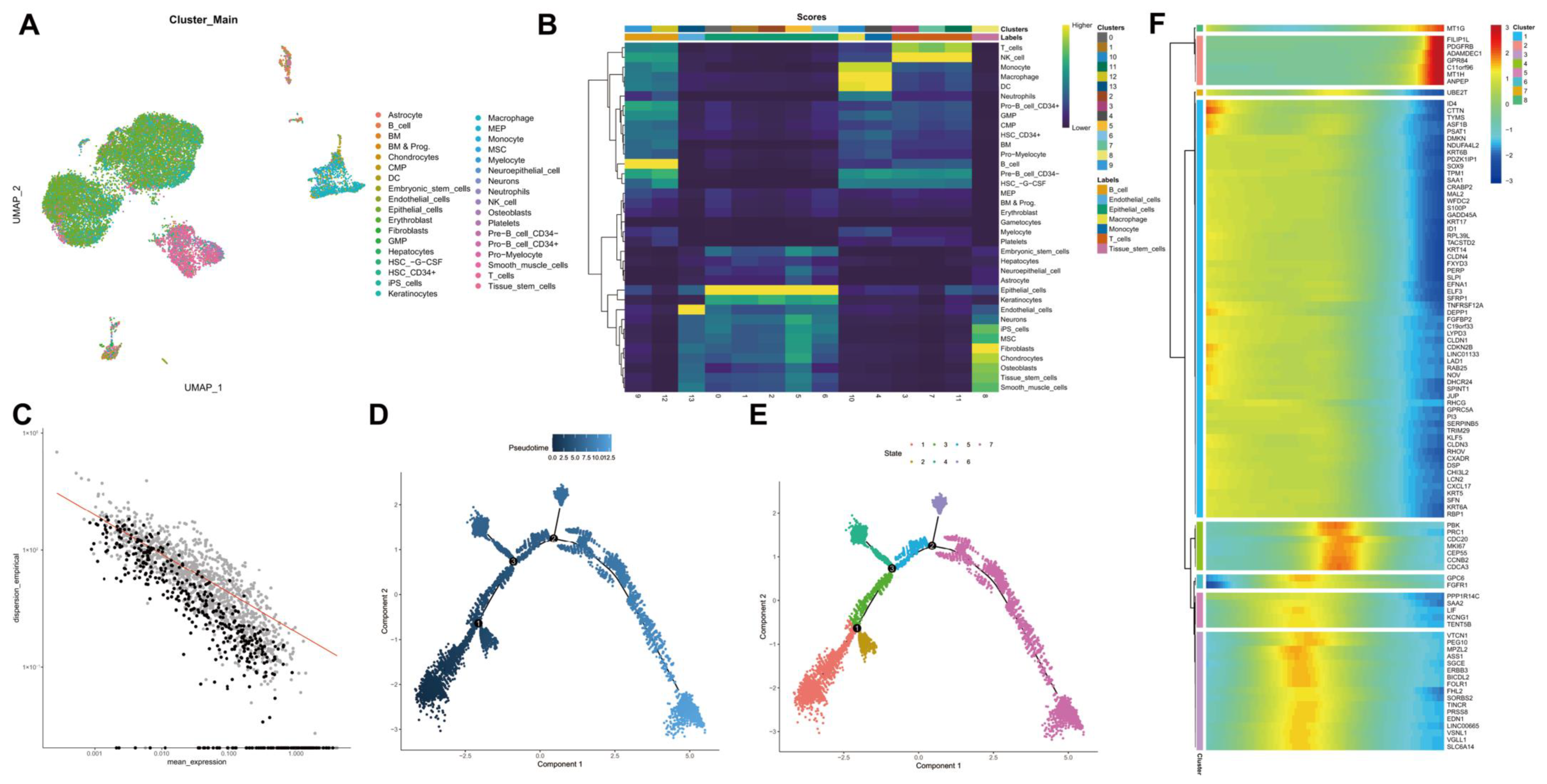 Cancers 14 06059 g003