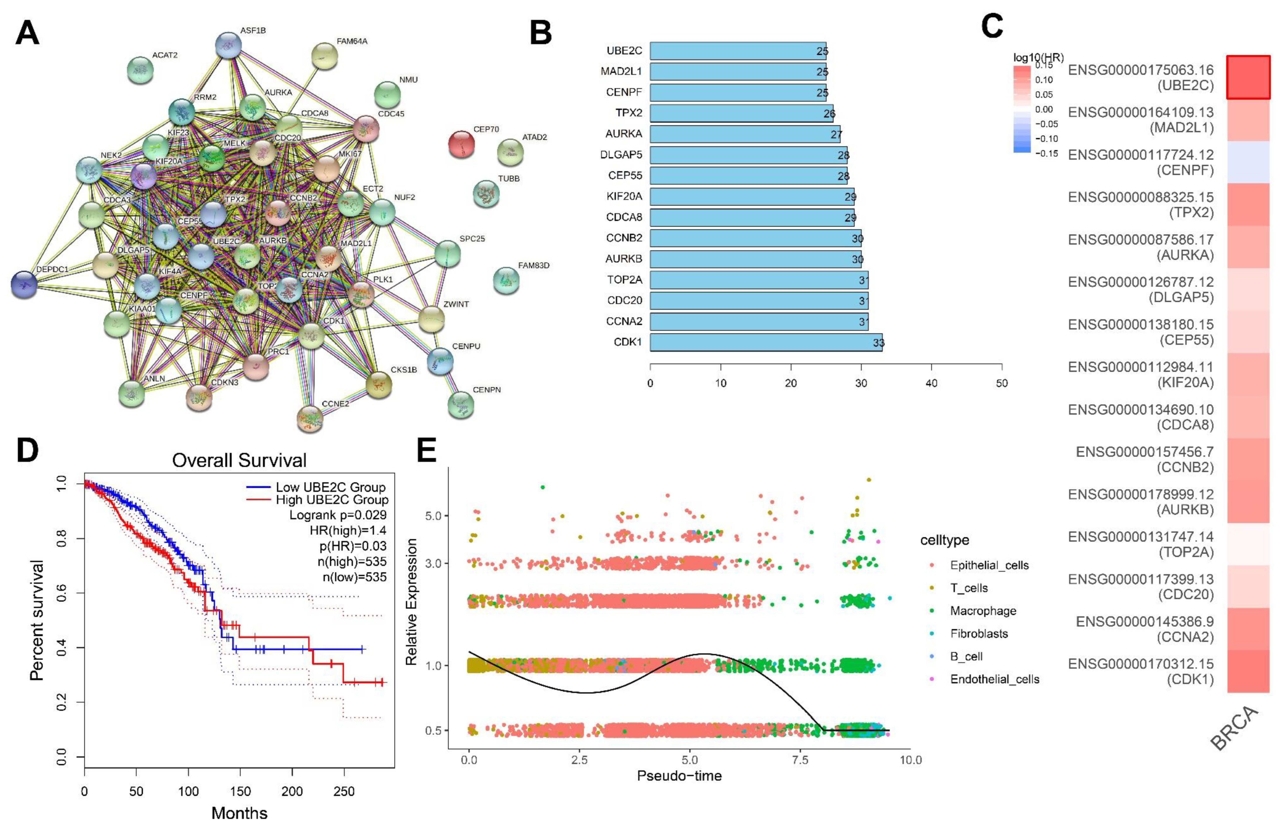 Cancers 14 06059 g005