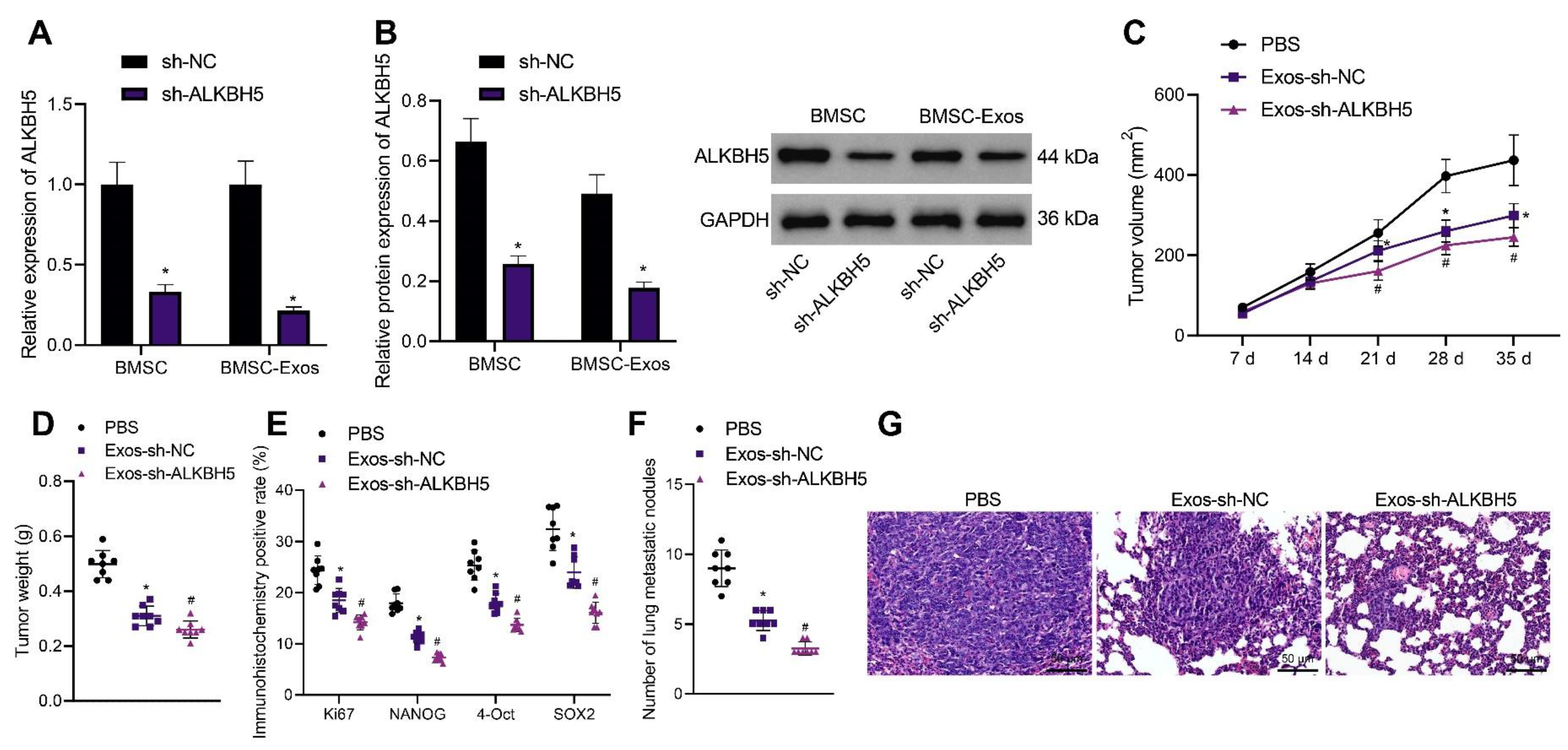 Cancers 14 06059 g007