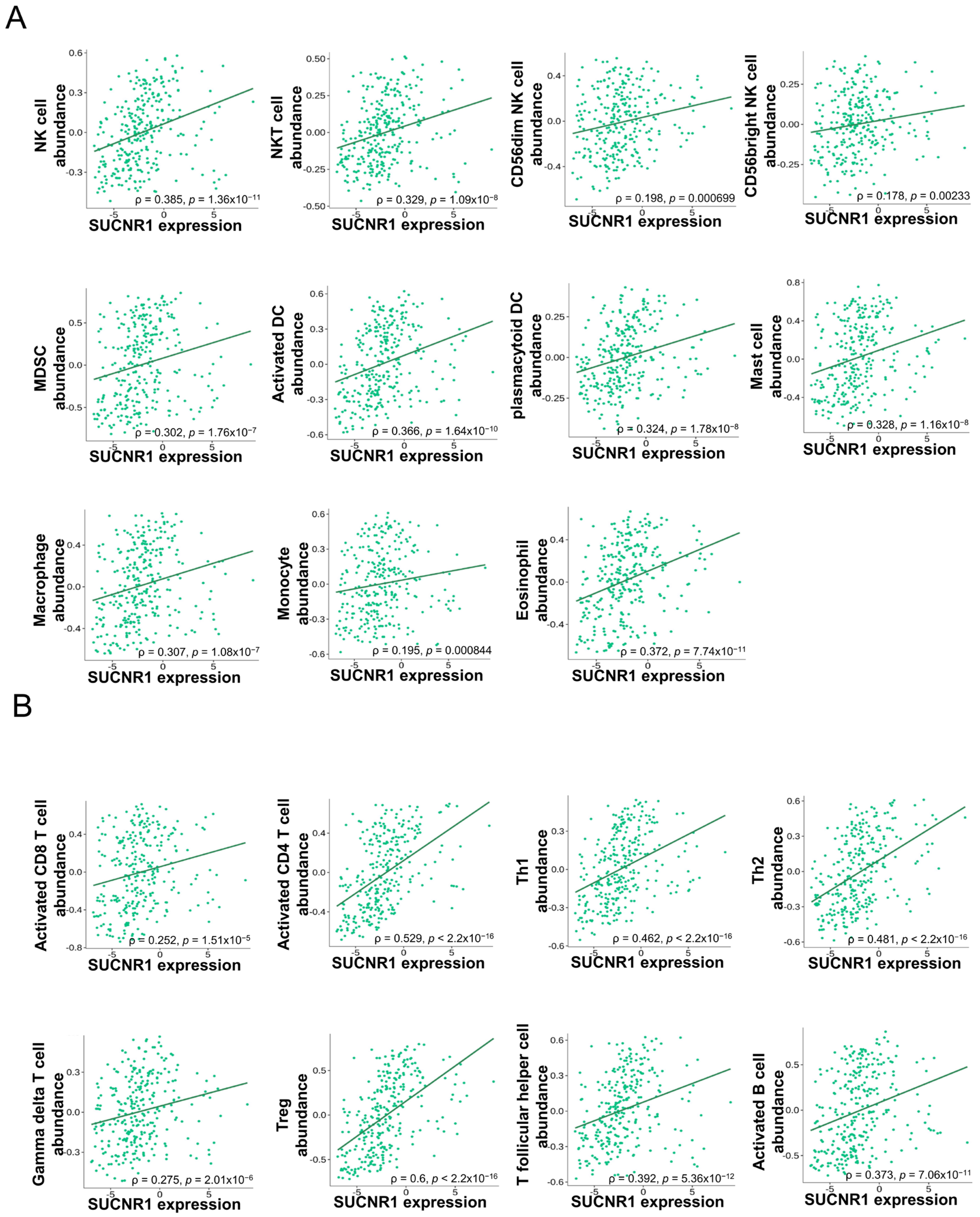 Cancers 14 06064 g004