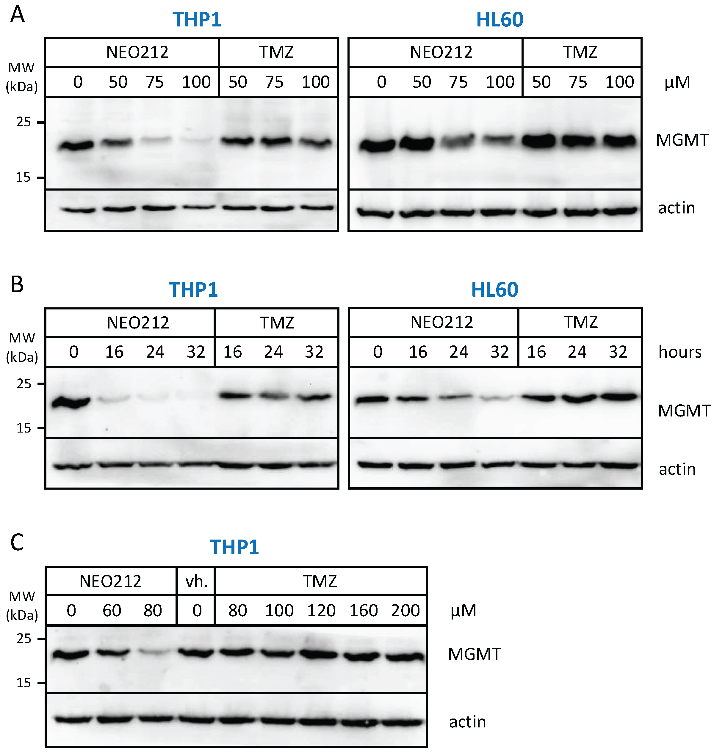 Cancers 14 06065 g004