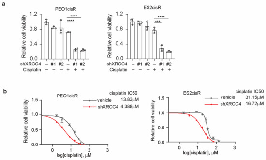 Cancers 14 06068 g0a2