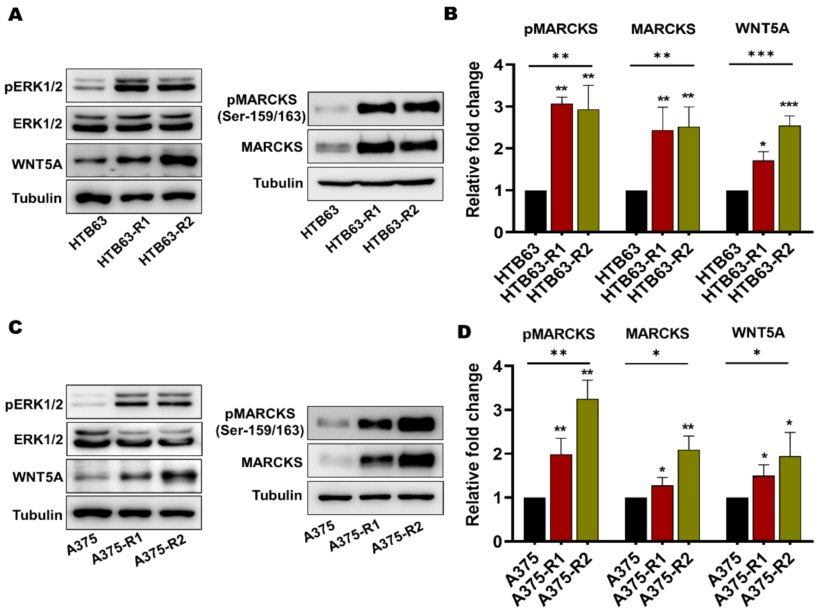 Cancers 14 06077 g002