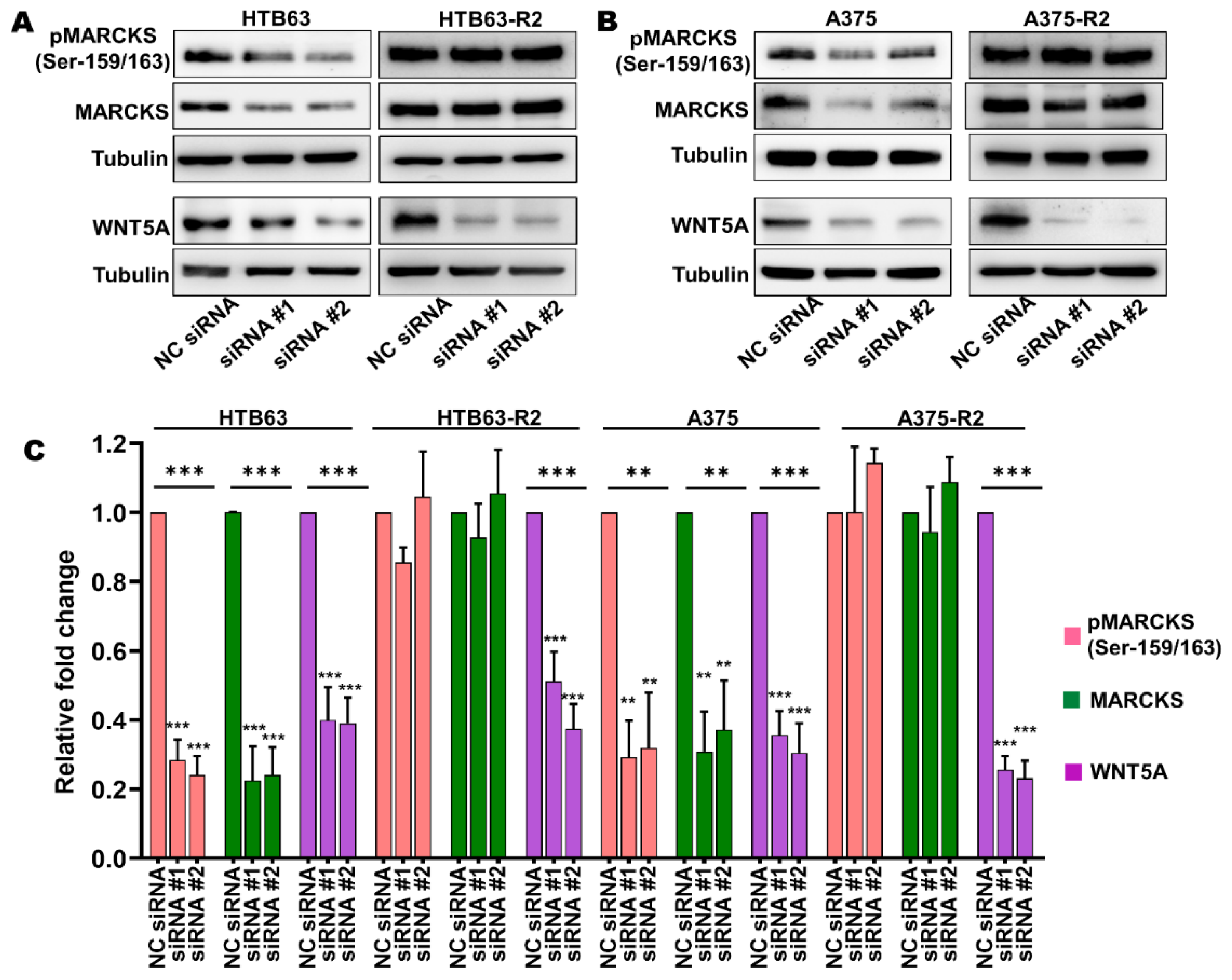 Cancers 14 06077 g003