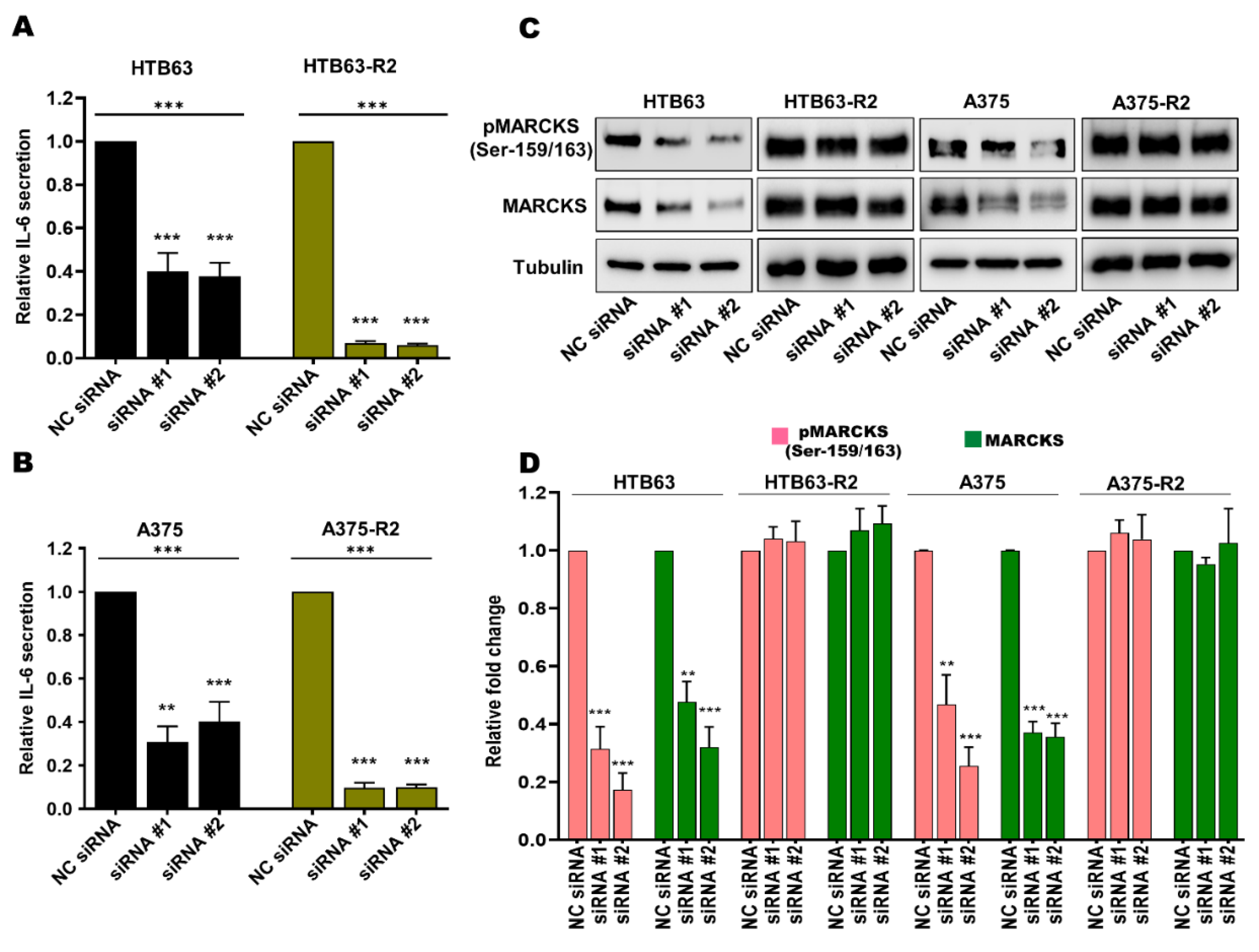 Cancers 14 06077 g004