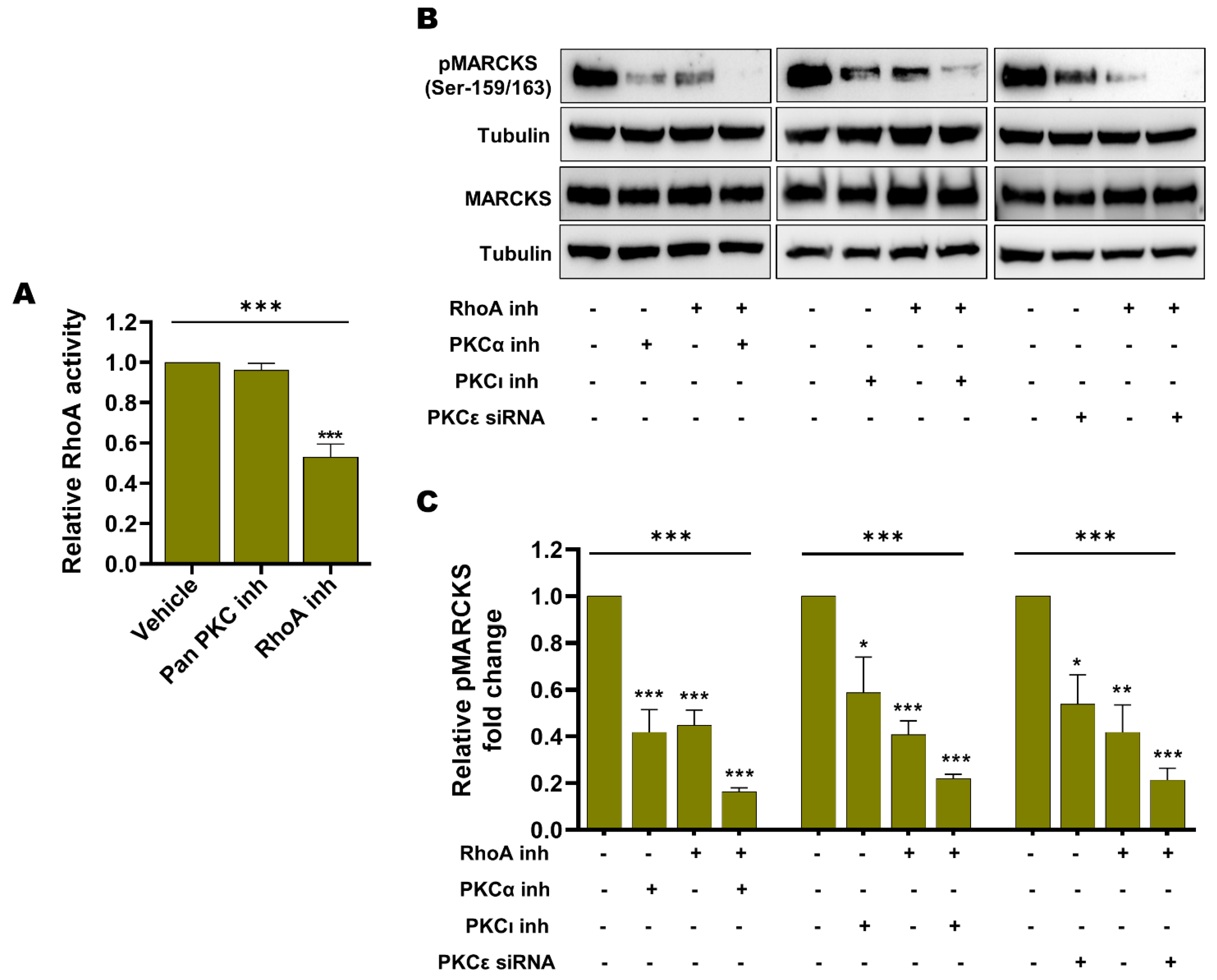 Cancers 14 06077 g008