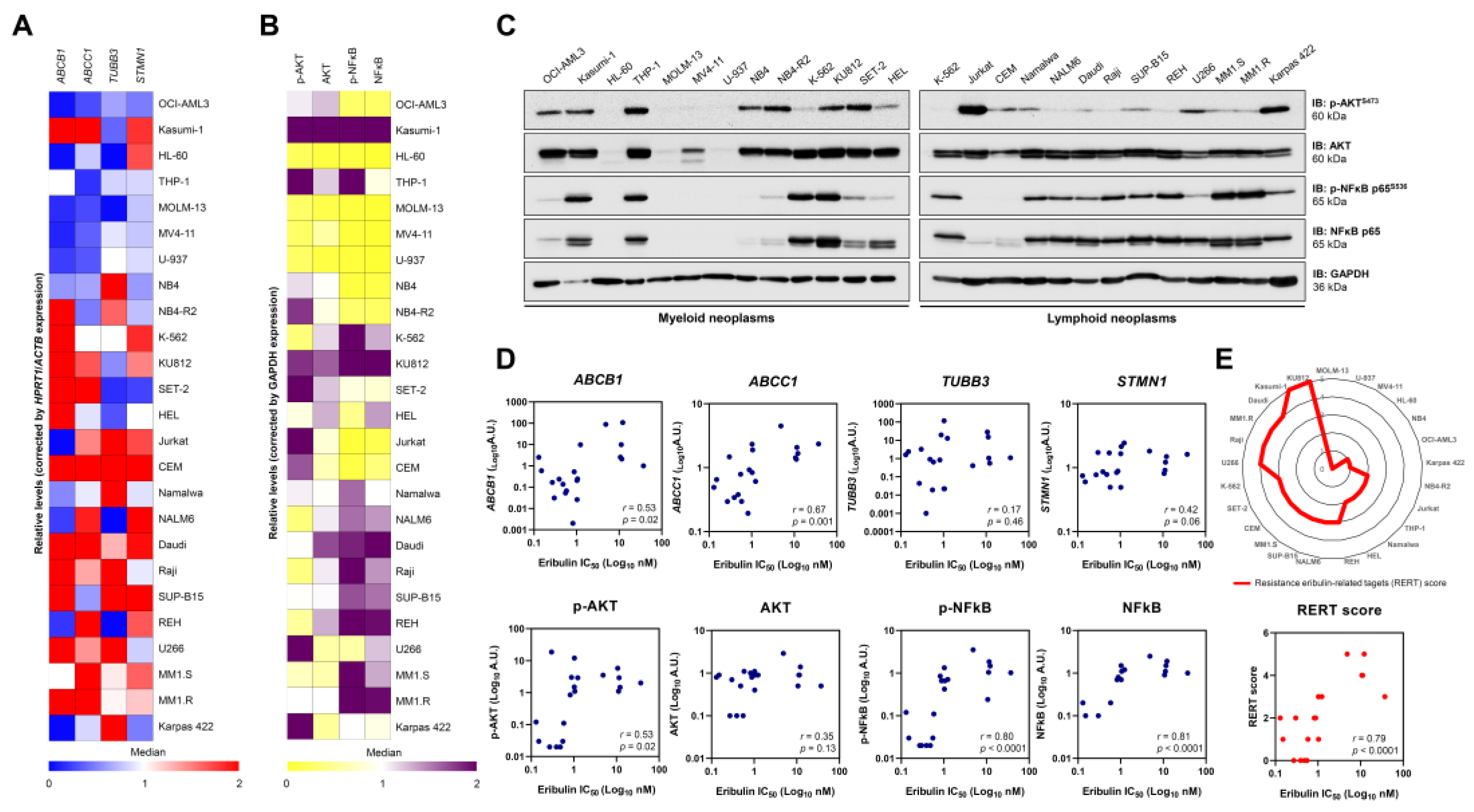 Cancers 14 06080 g007
