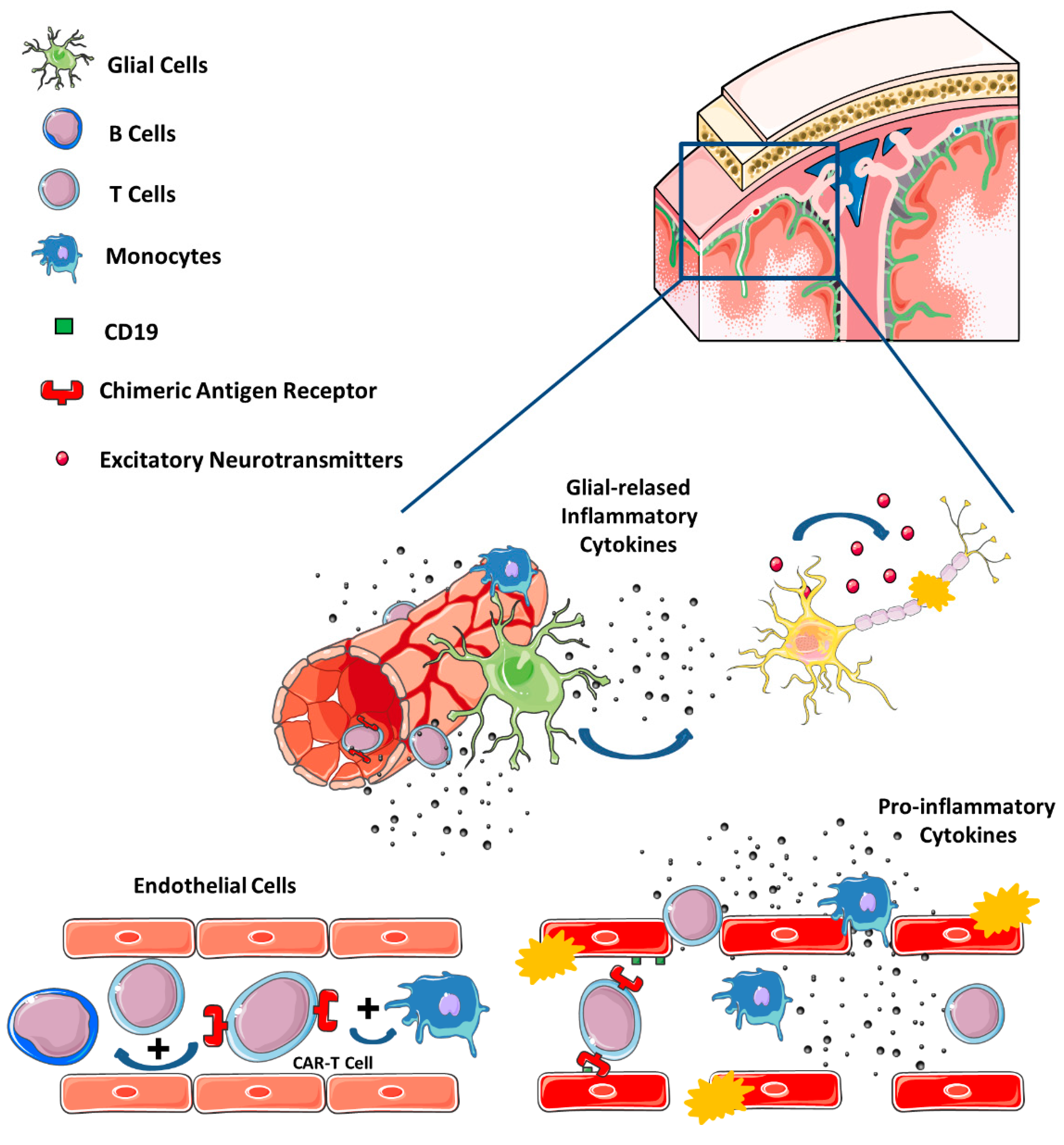 Cancers 14 06088 g002
