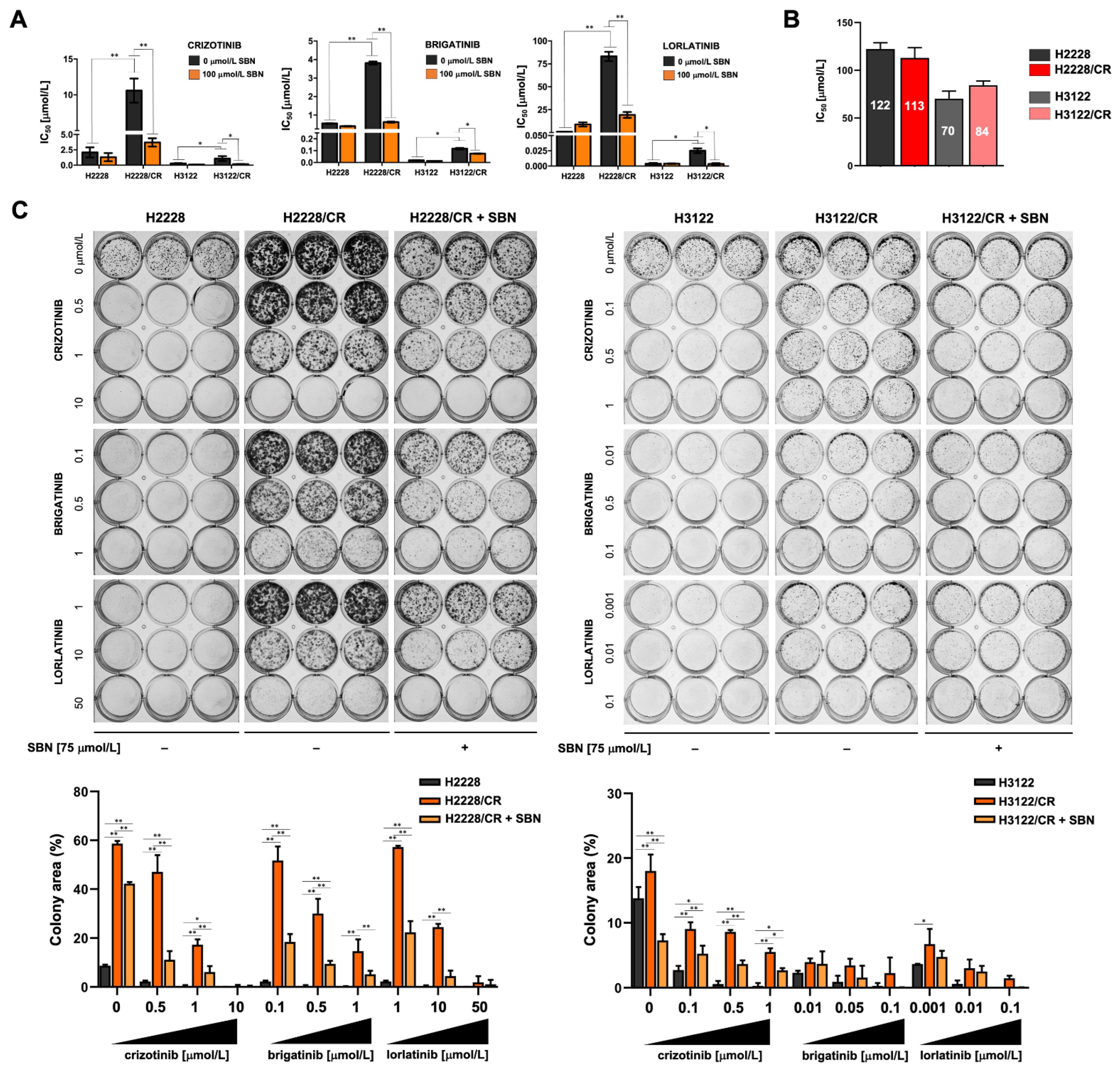 Cancers 14 06101 g002