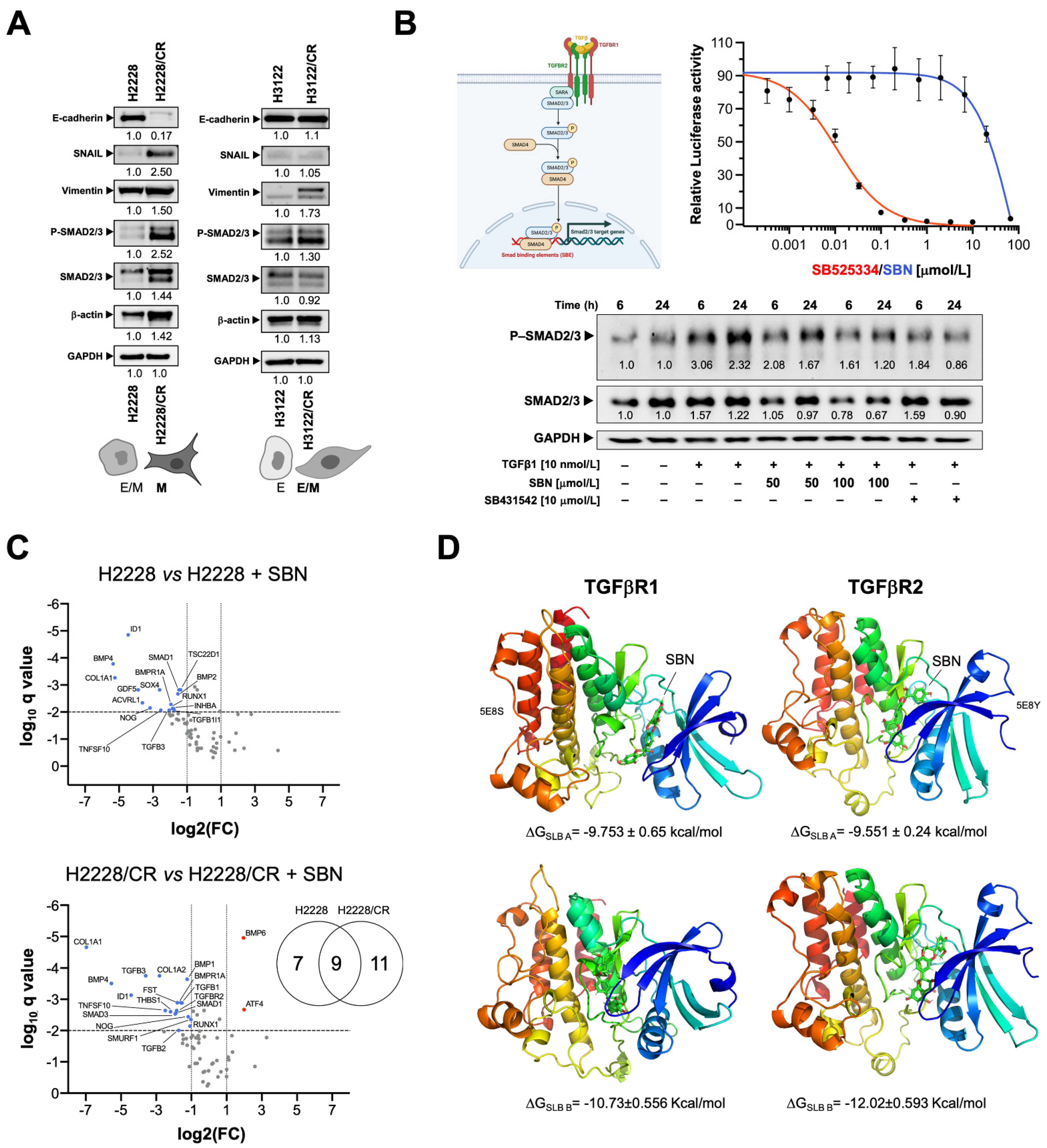 Cancers 14 06101 g003