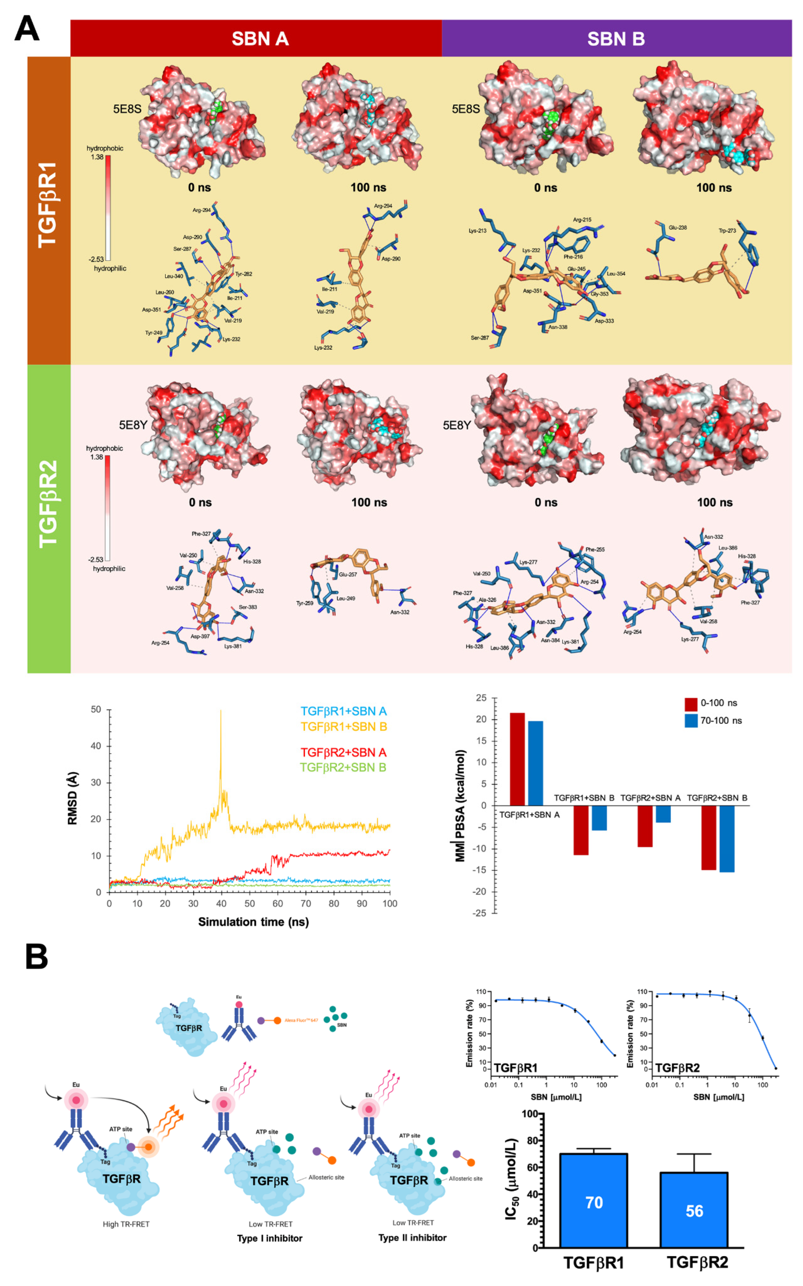 Cancers 14 06101 g004