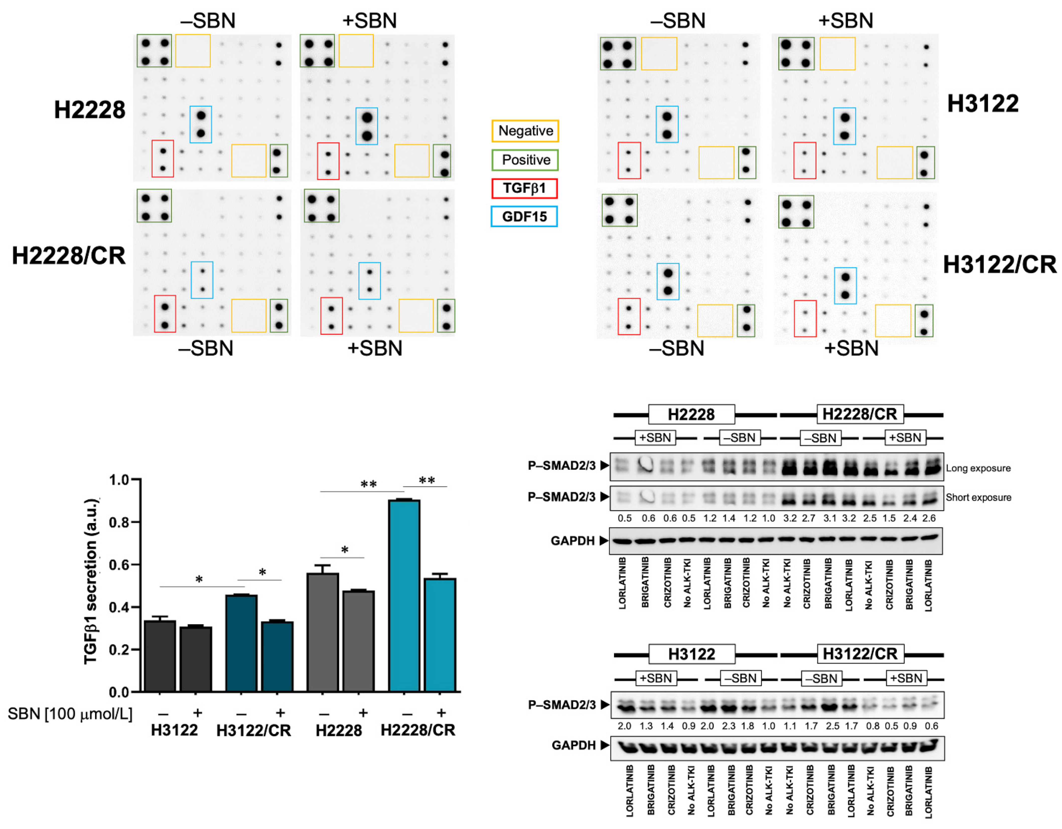 Cancers 14 06101 g005