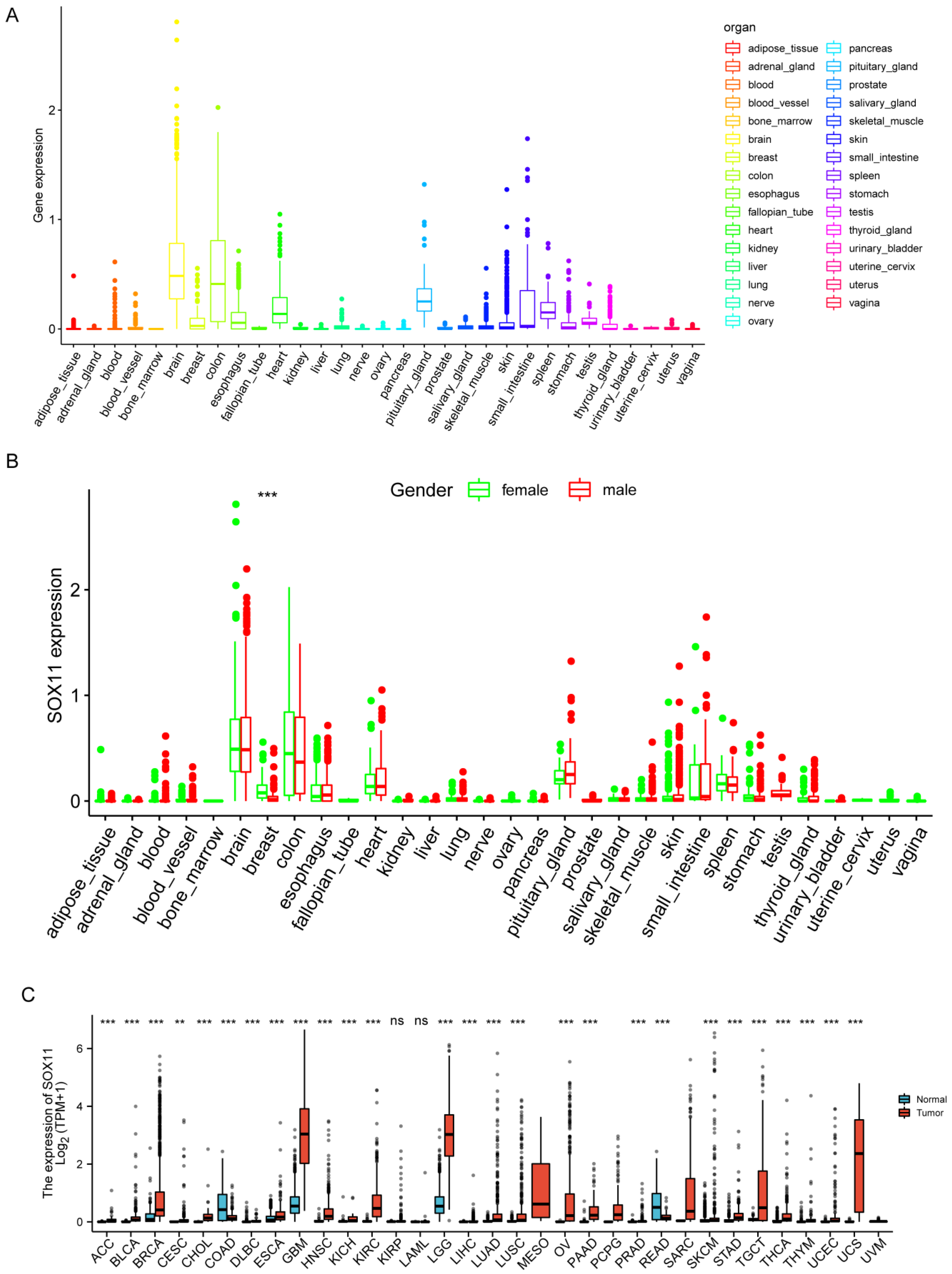 Cancers 14 06103 g001