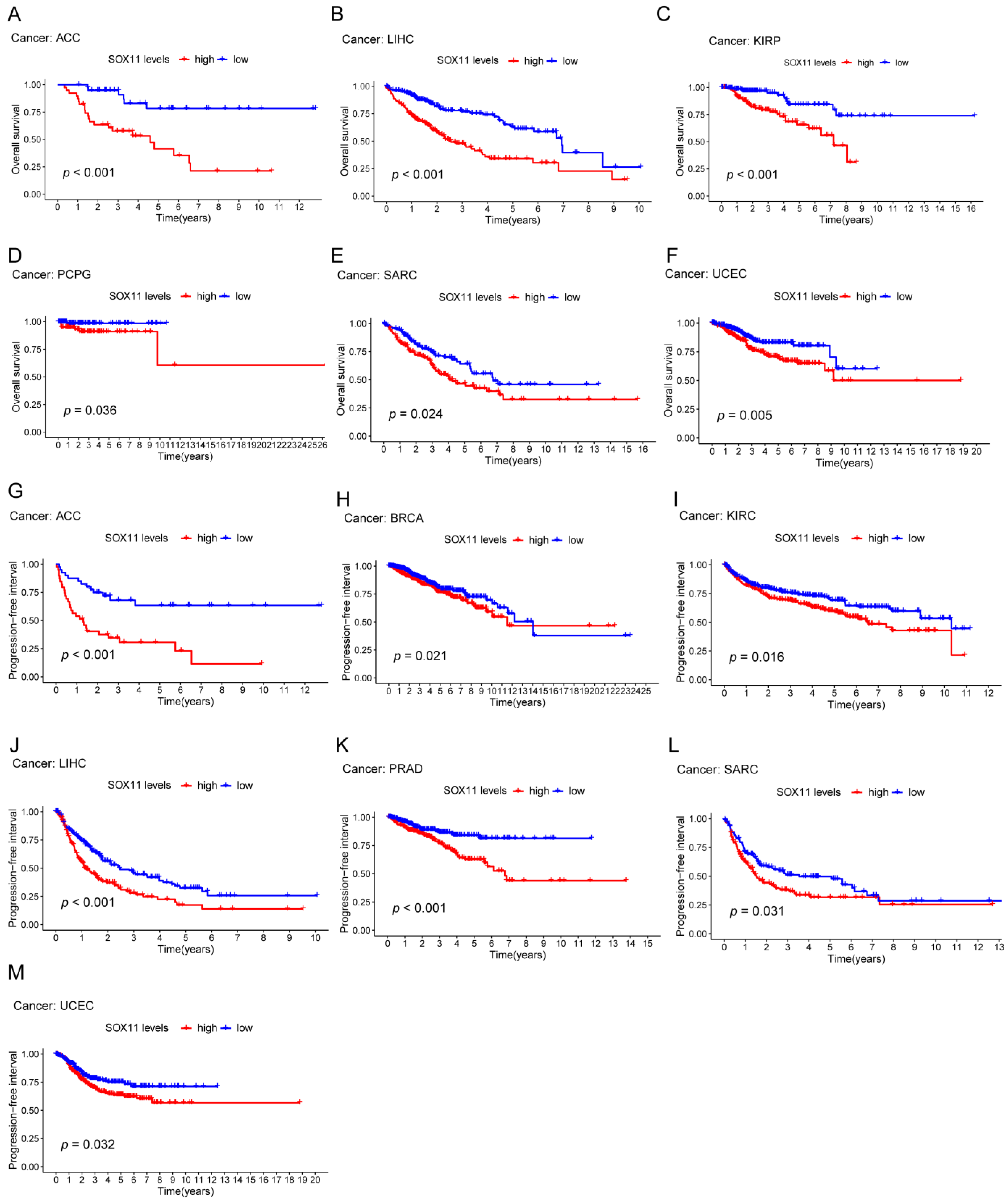 Cancers 14 06103 g003