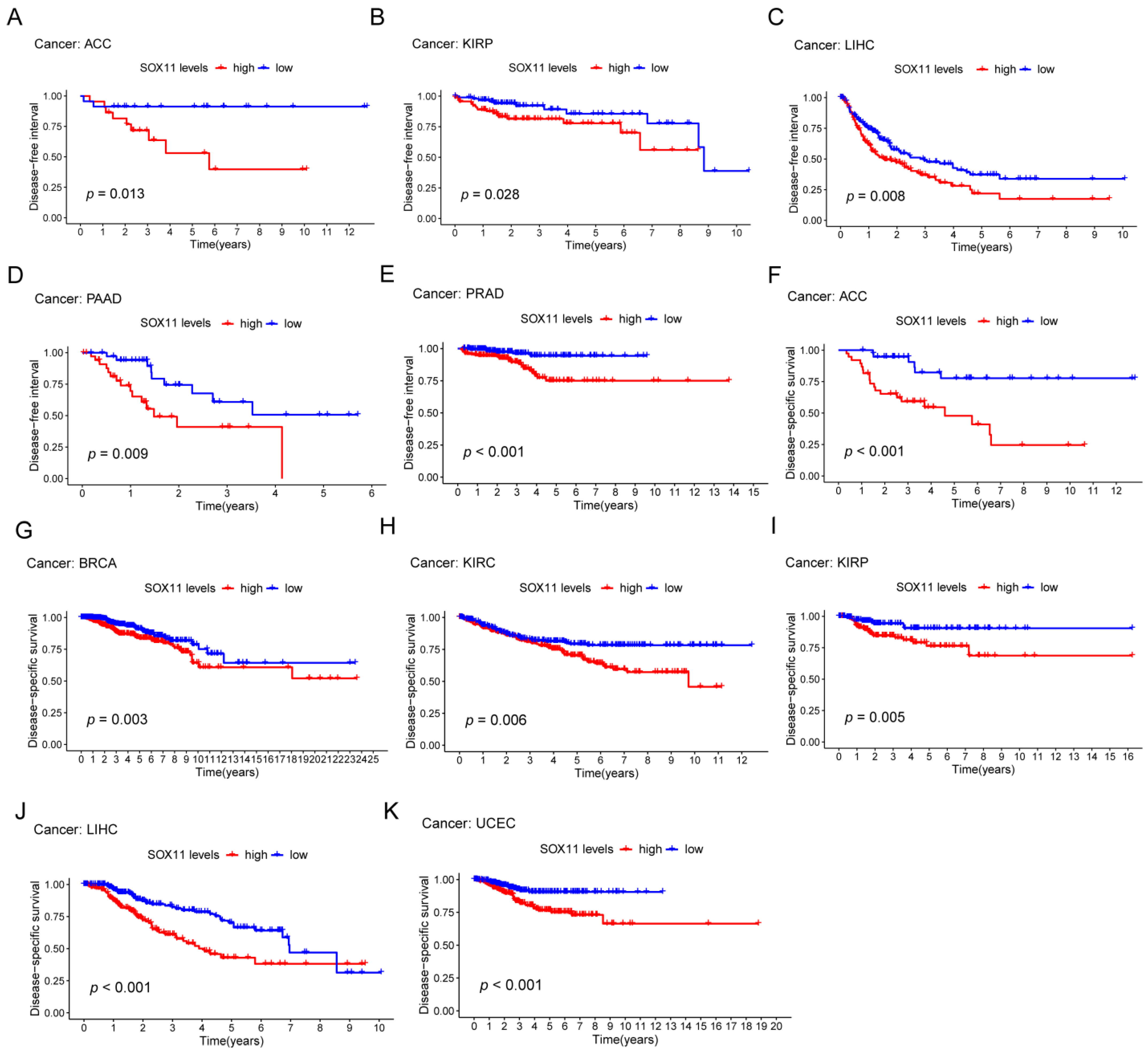 Cancers 14 06103 g004