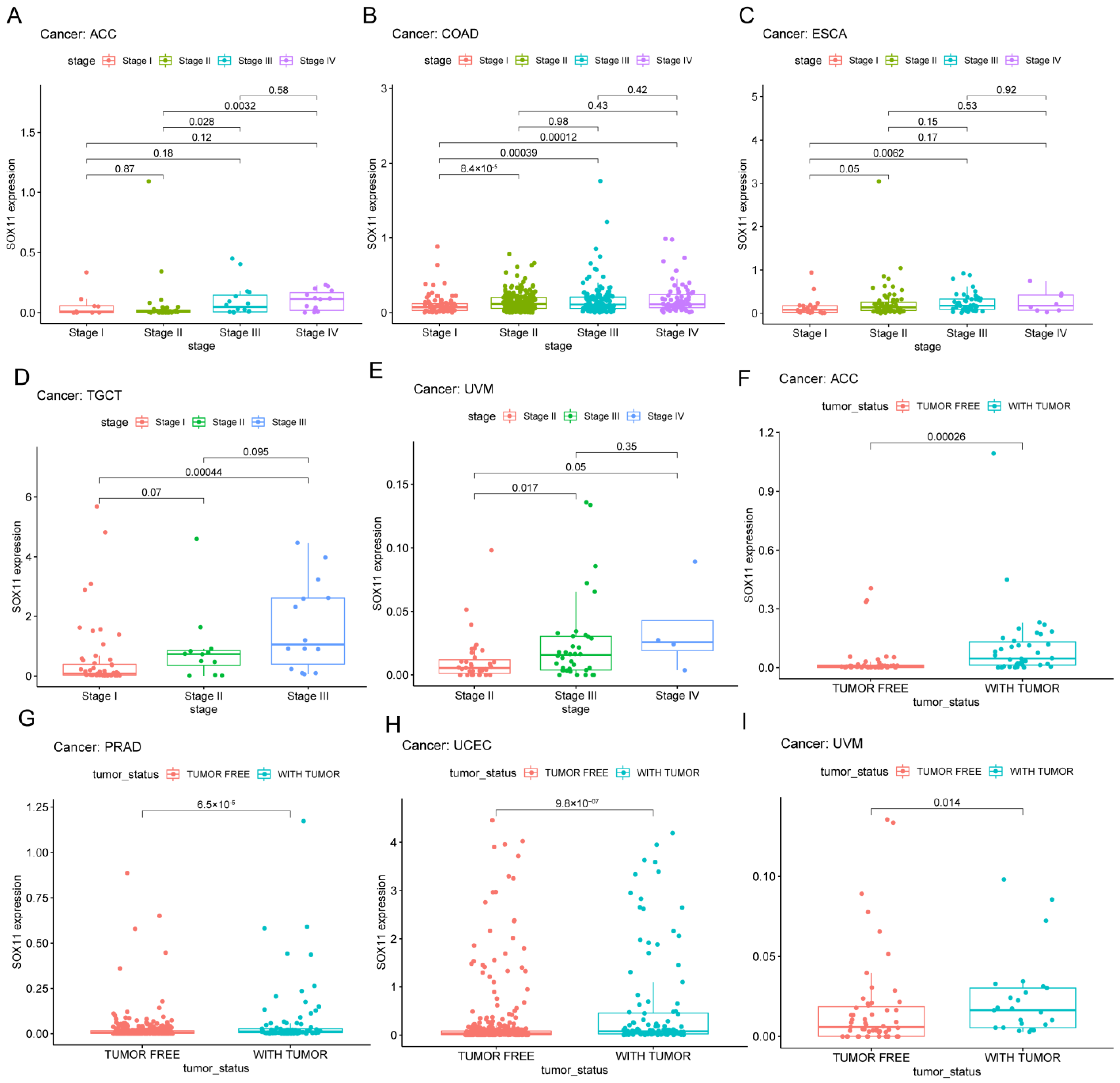 Cancers 14 06103 g005