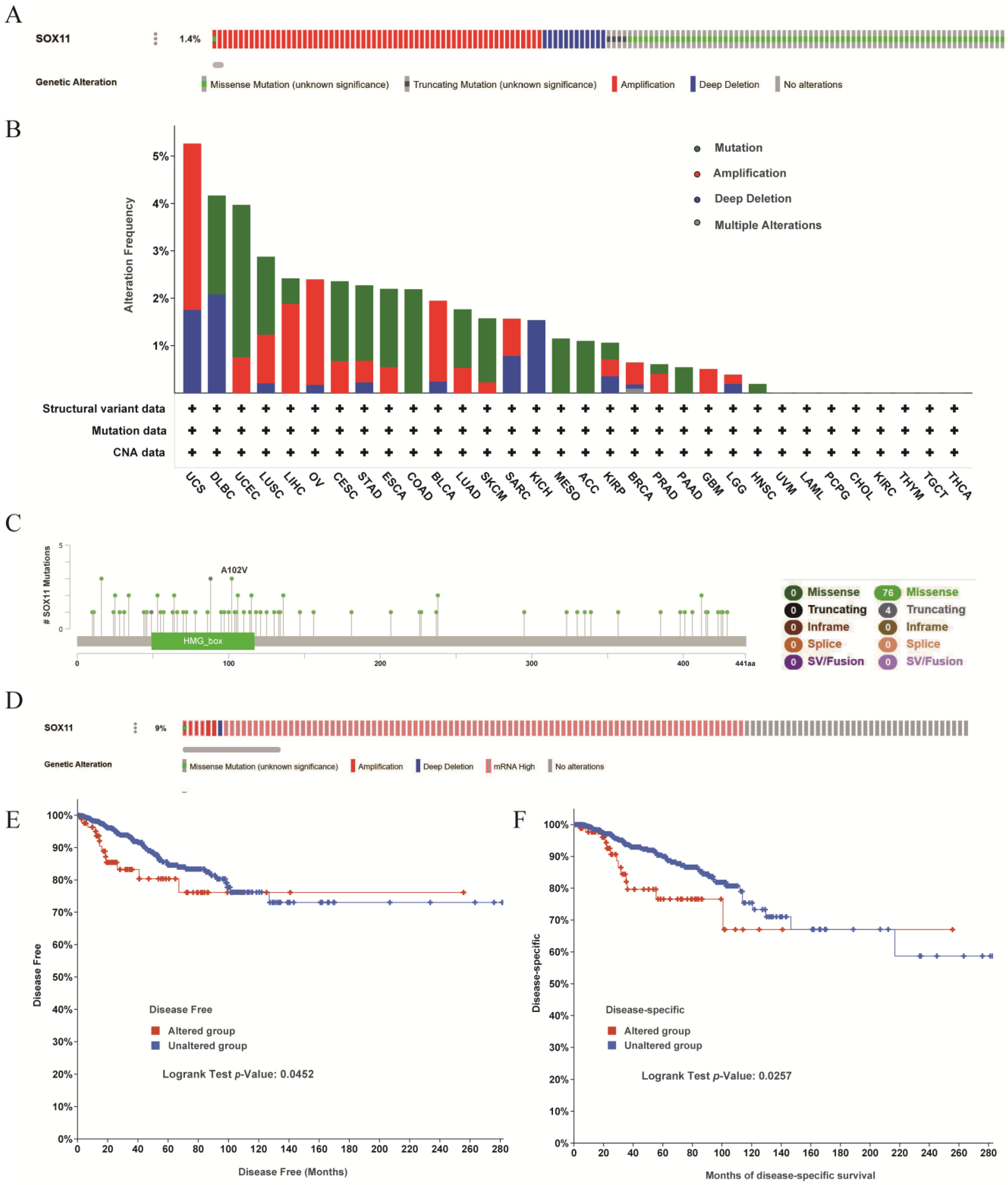 Cancers 14 06103 g006