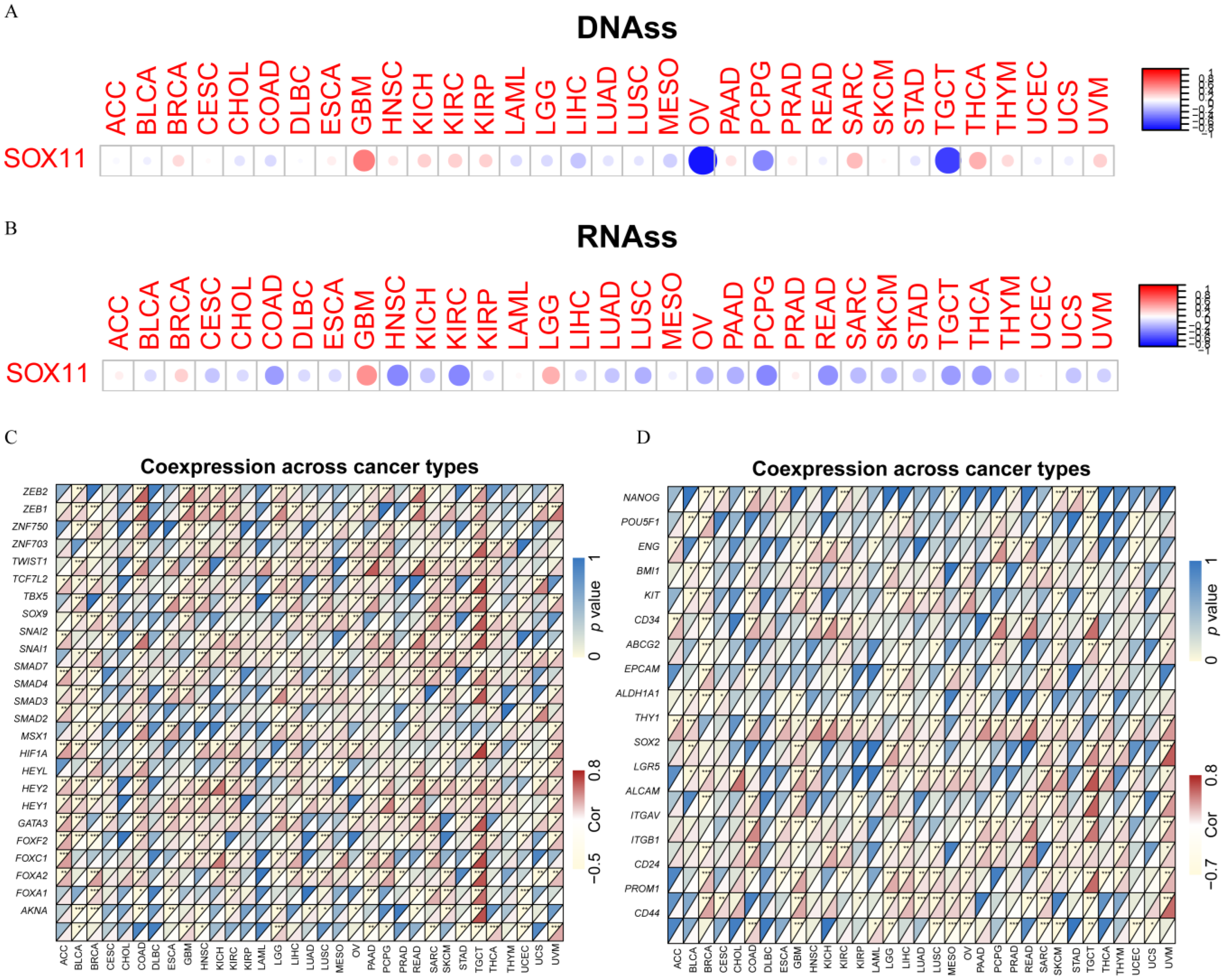 Cancers 14 06103 g007
