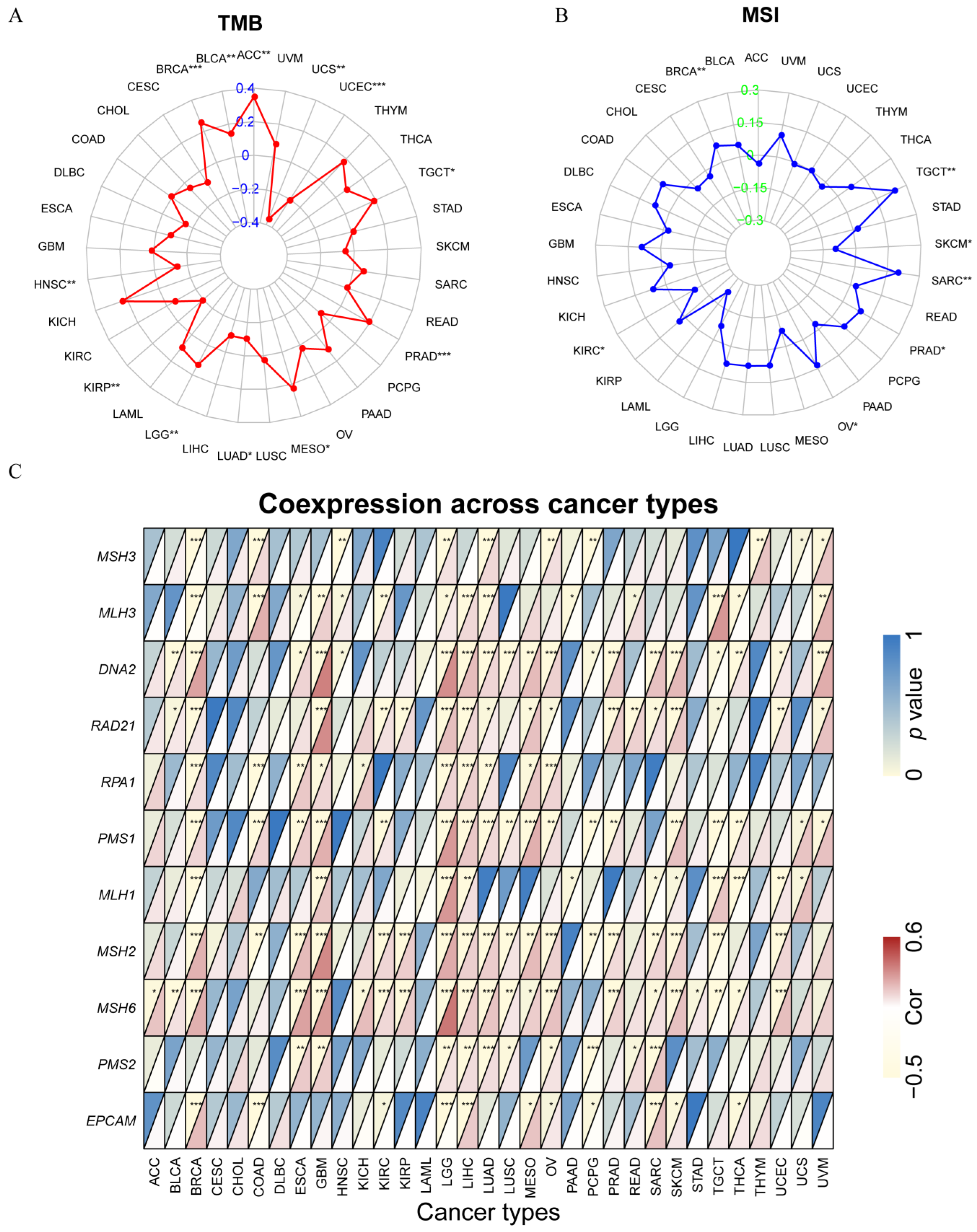 Cancers 14 06103 g008