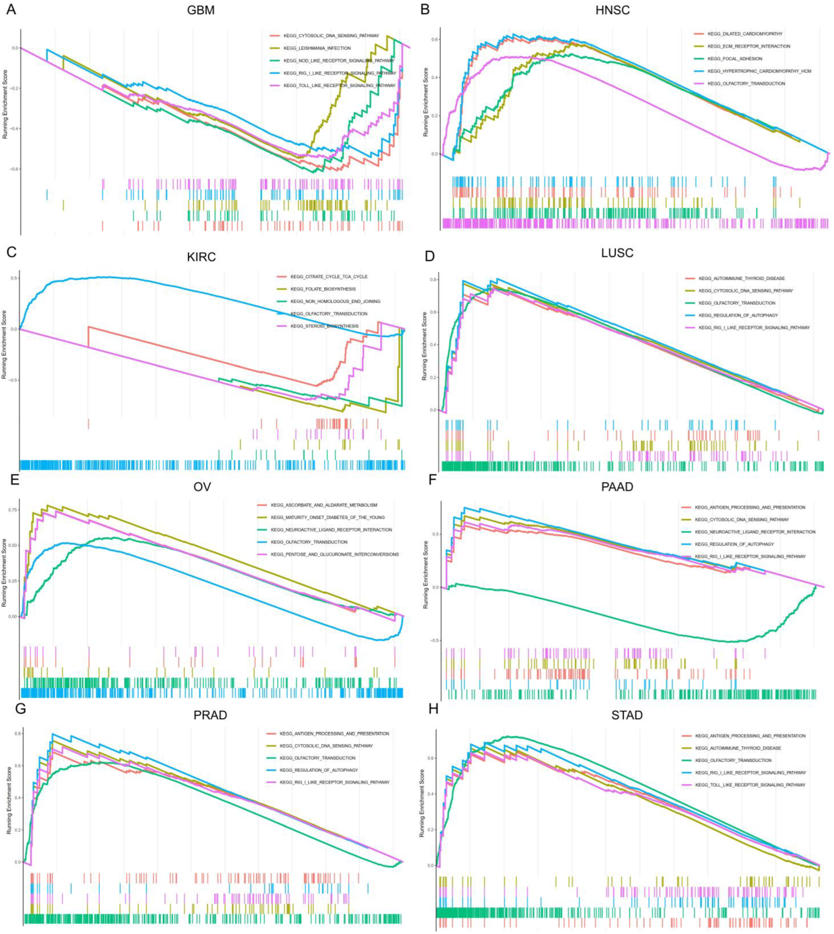 Cancers 14 06103 g010
