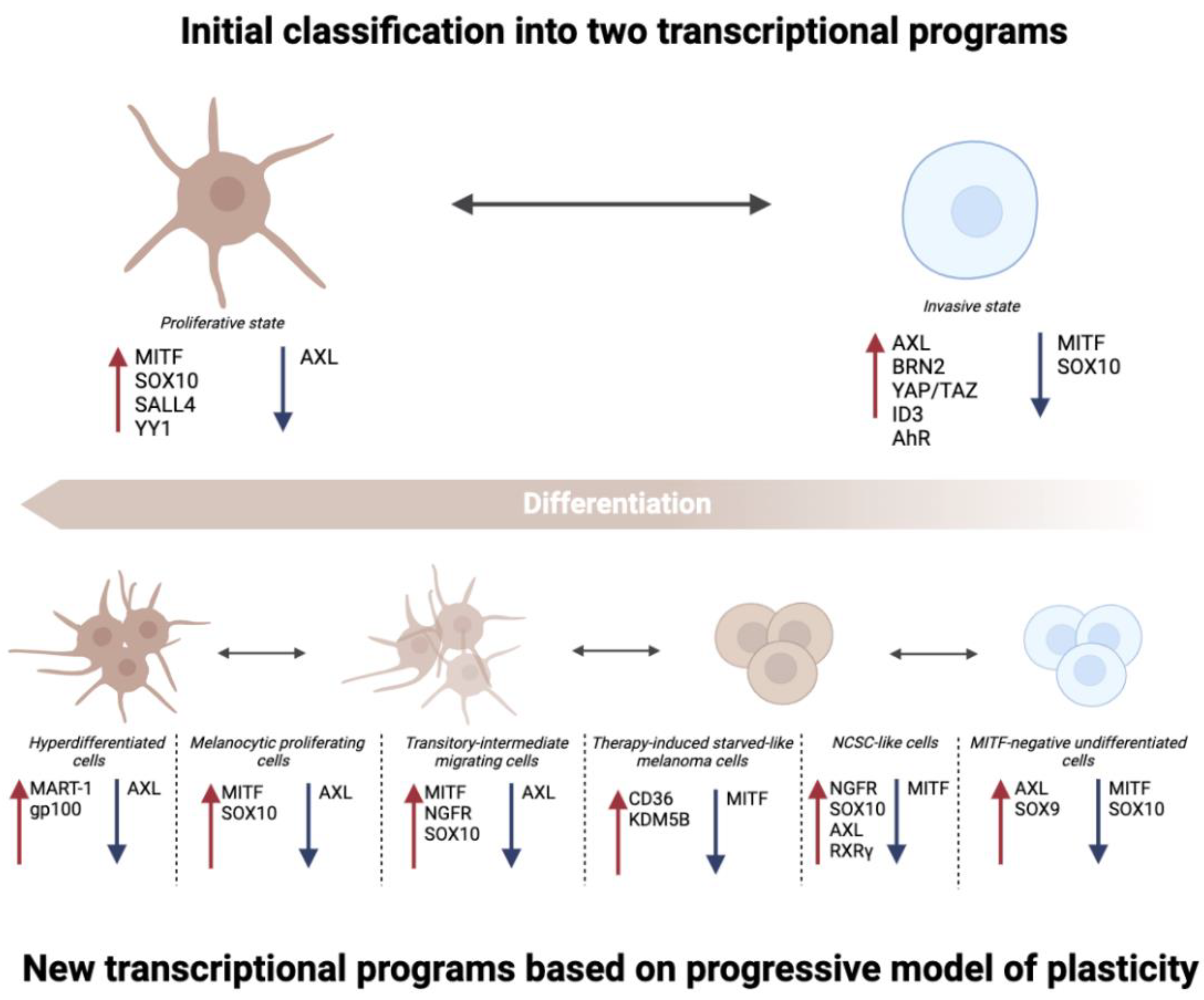 Cancers 14 06118 g001