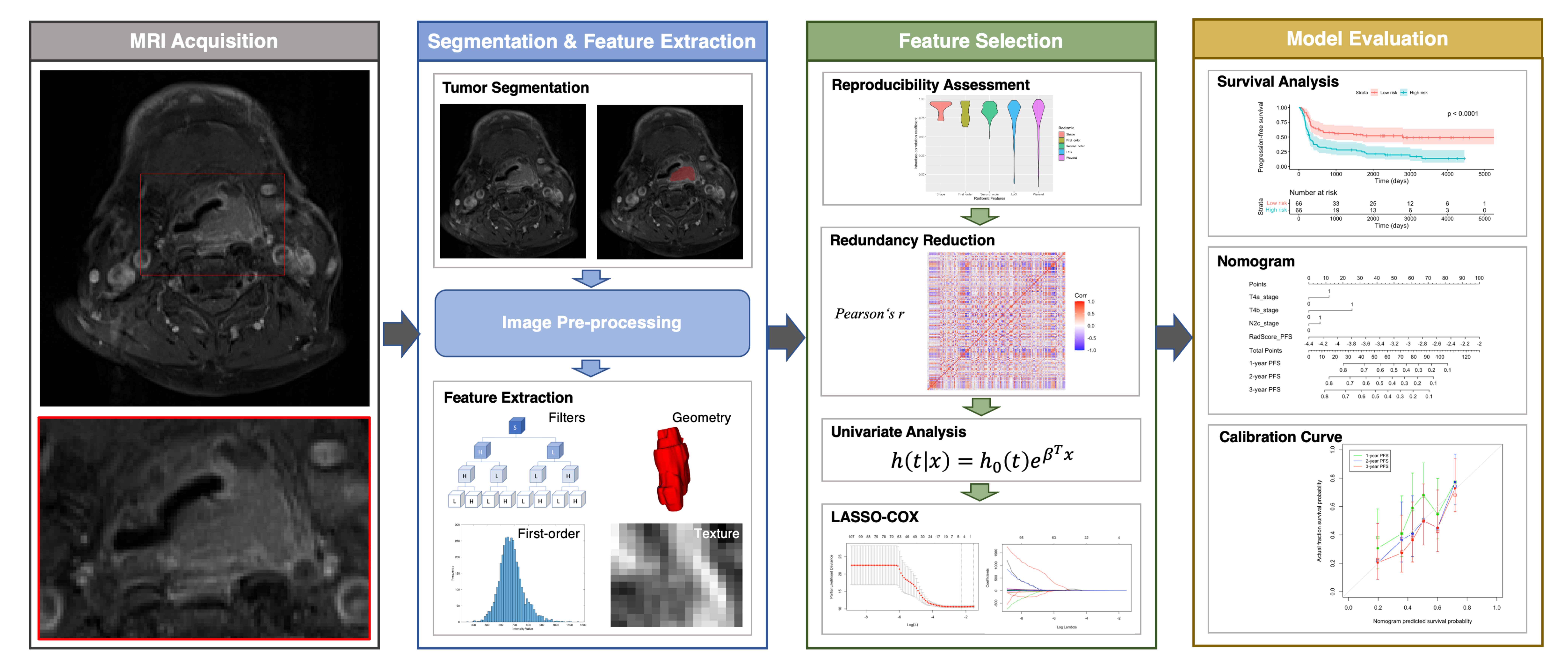 Cancers 14 06119 g001