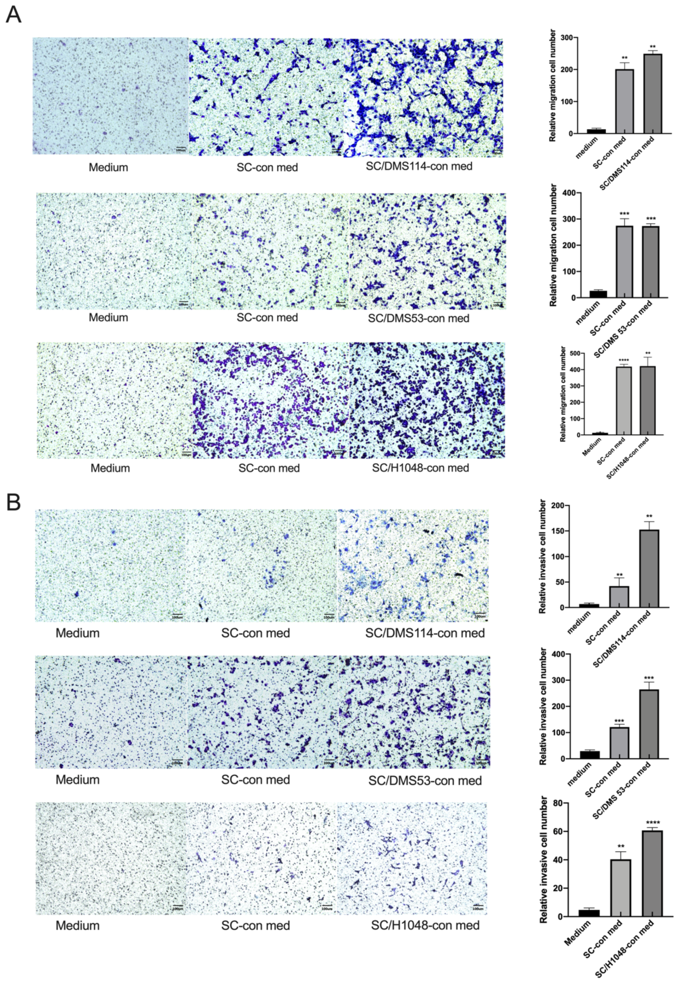 Cancers 14 06132 g001