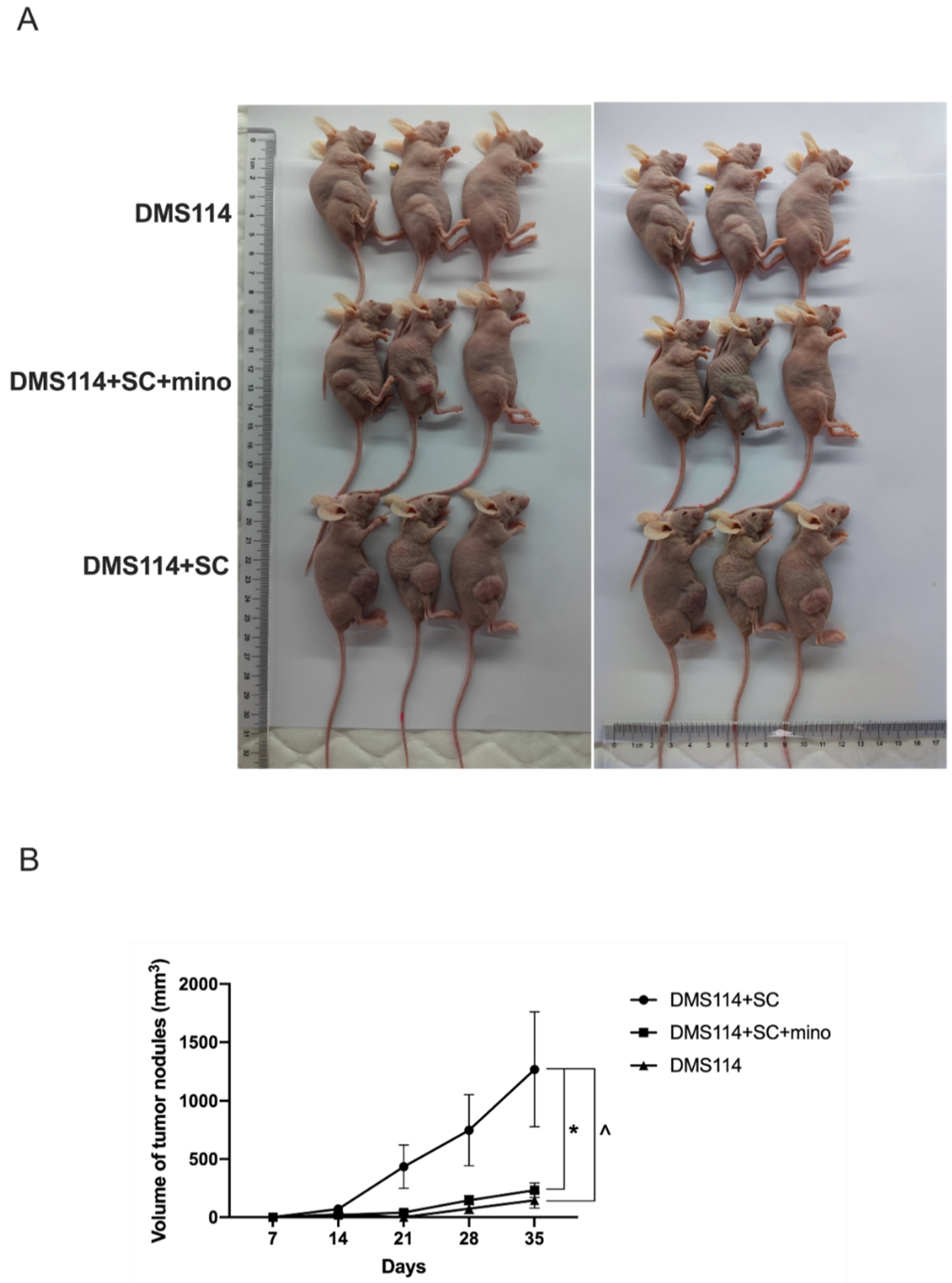 Cancers 14 06132 g003