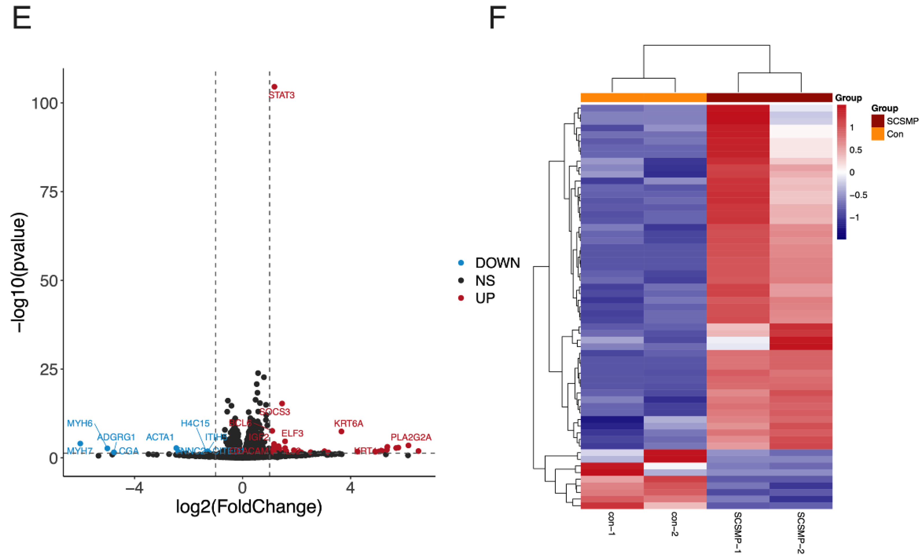 Cancers 14 06132 g004b