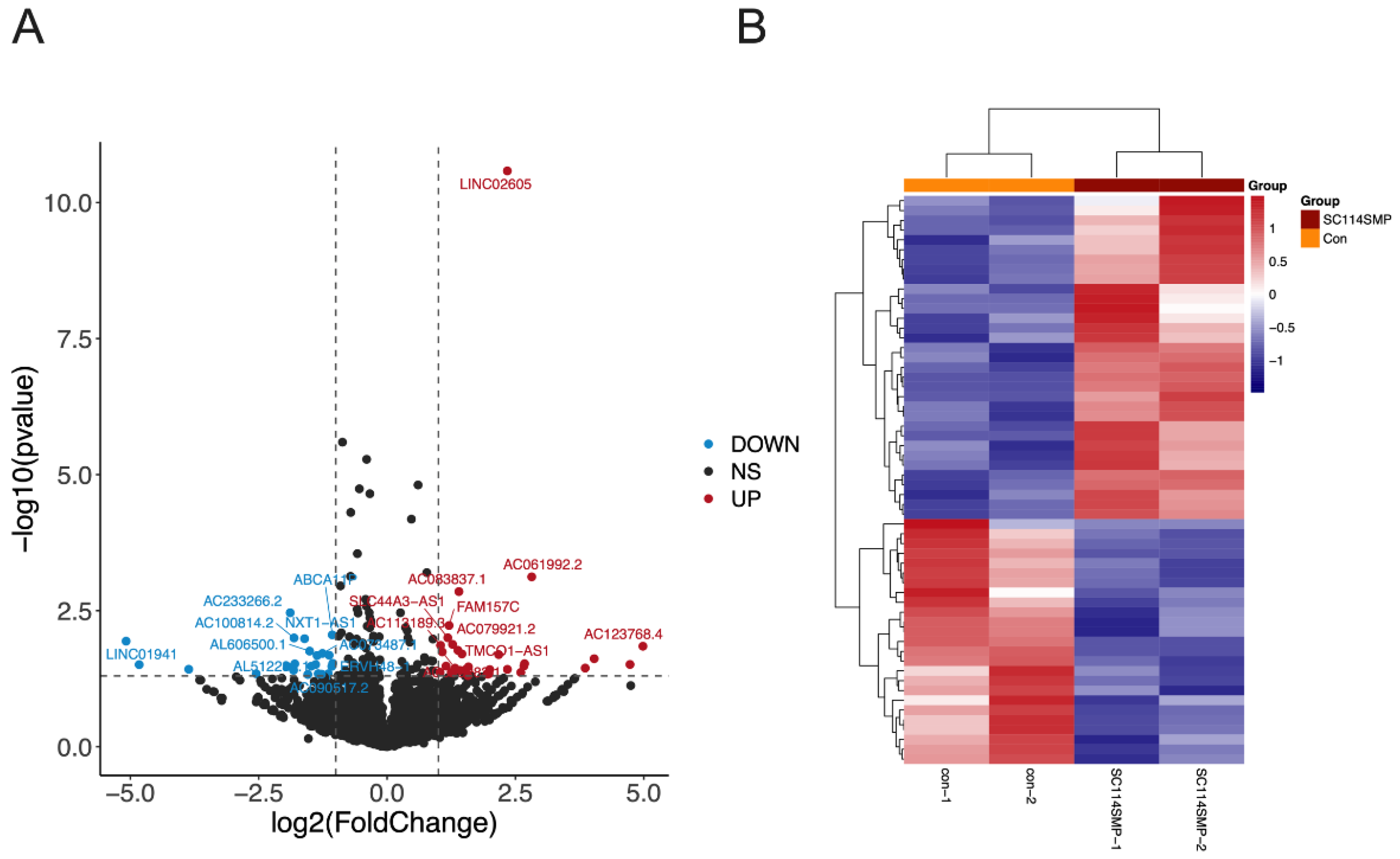 Cancers 14 06132 g005a