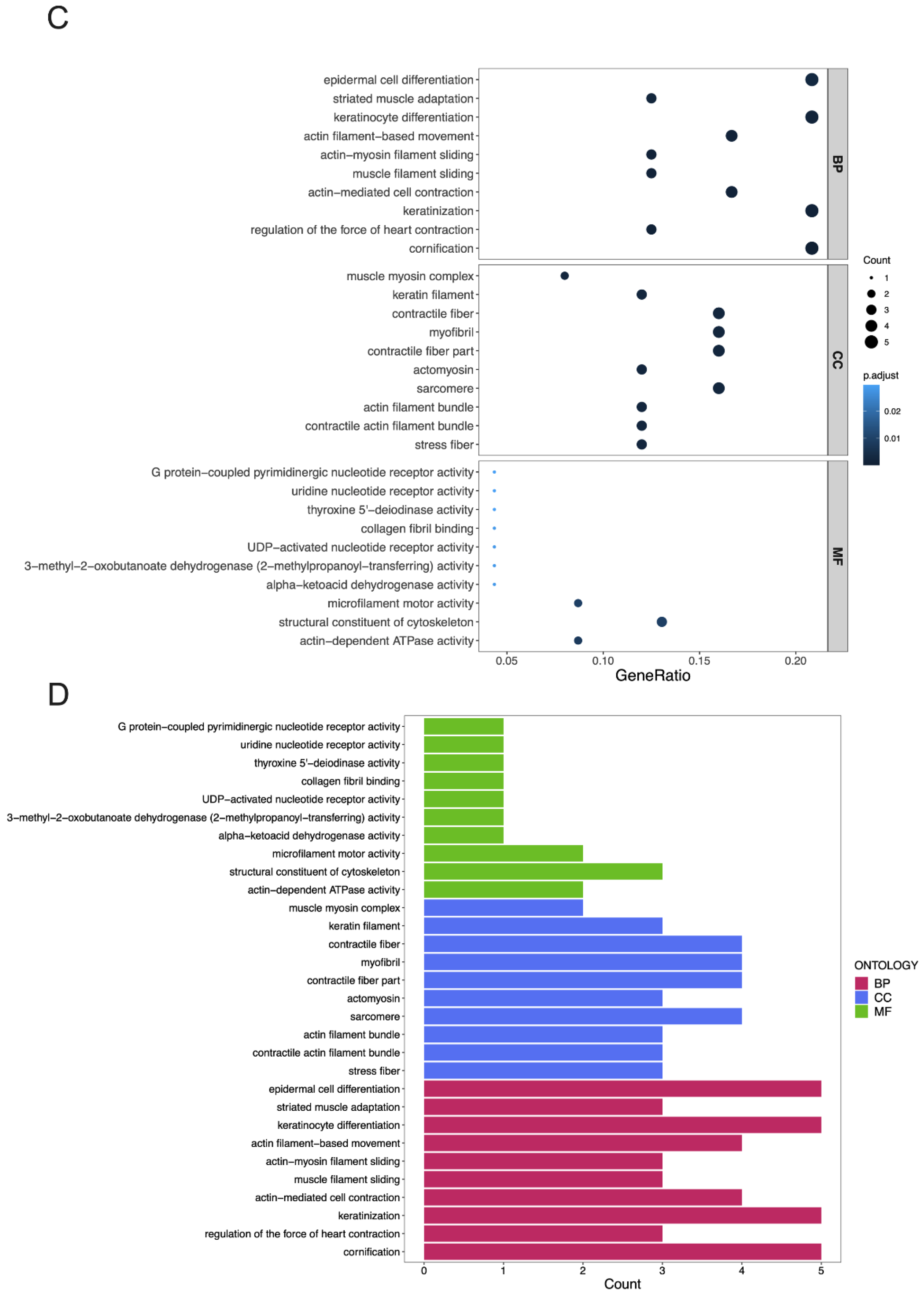 Cancers 14 06132 g006b